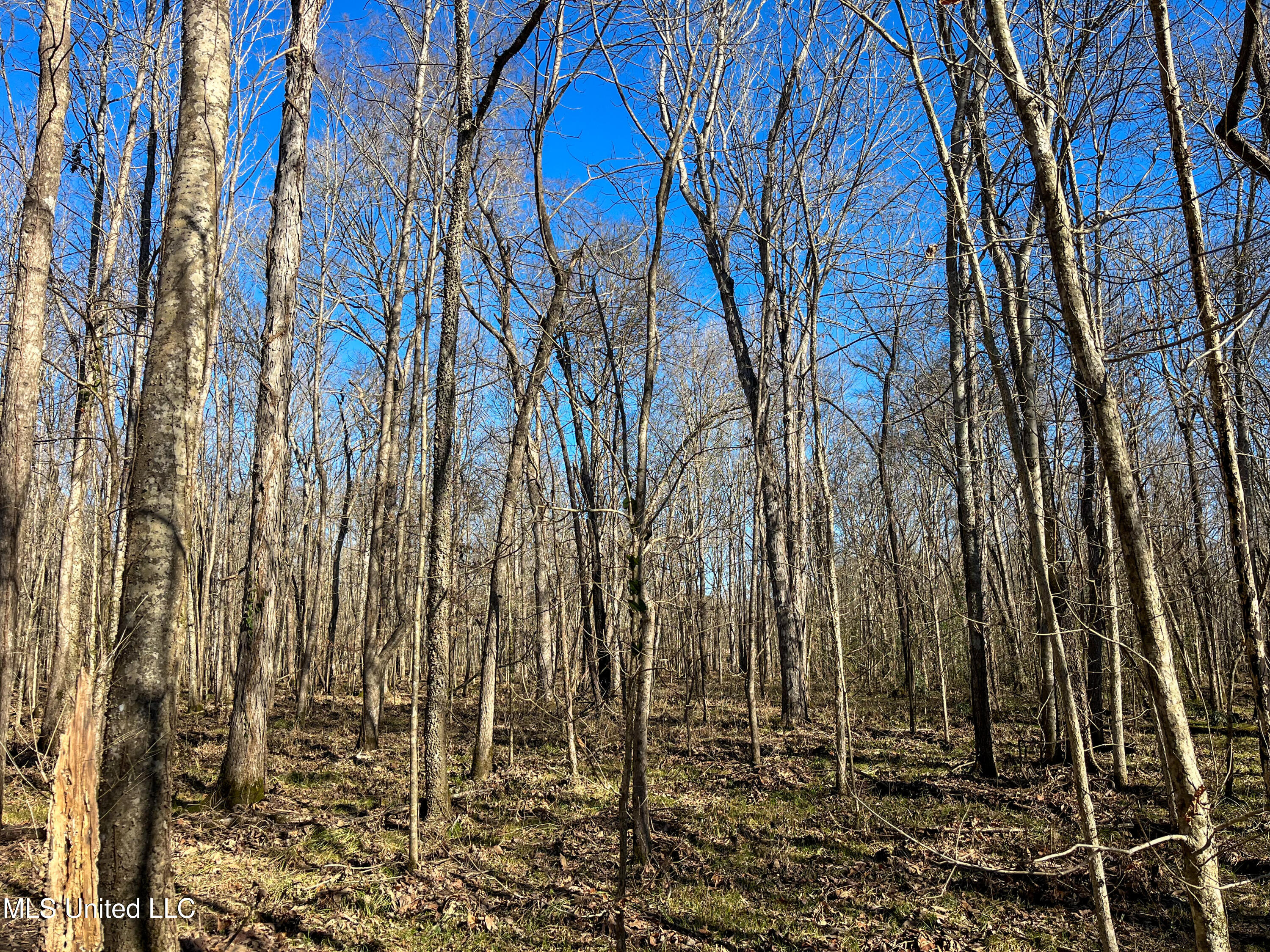 Highway 505 Property Photo 20