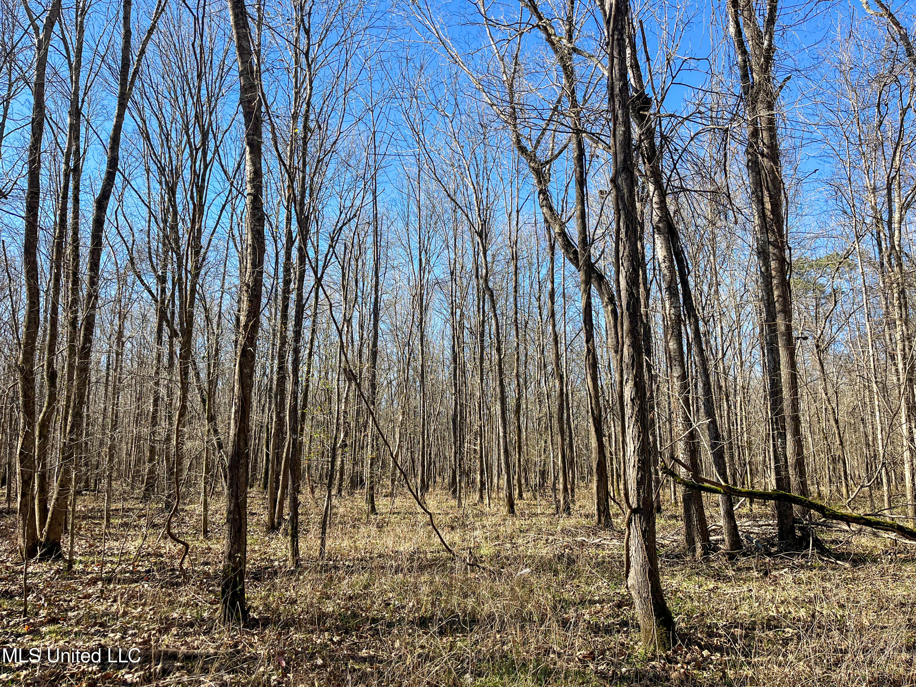 Highway 505 Property Photo 24