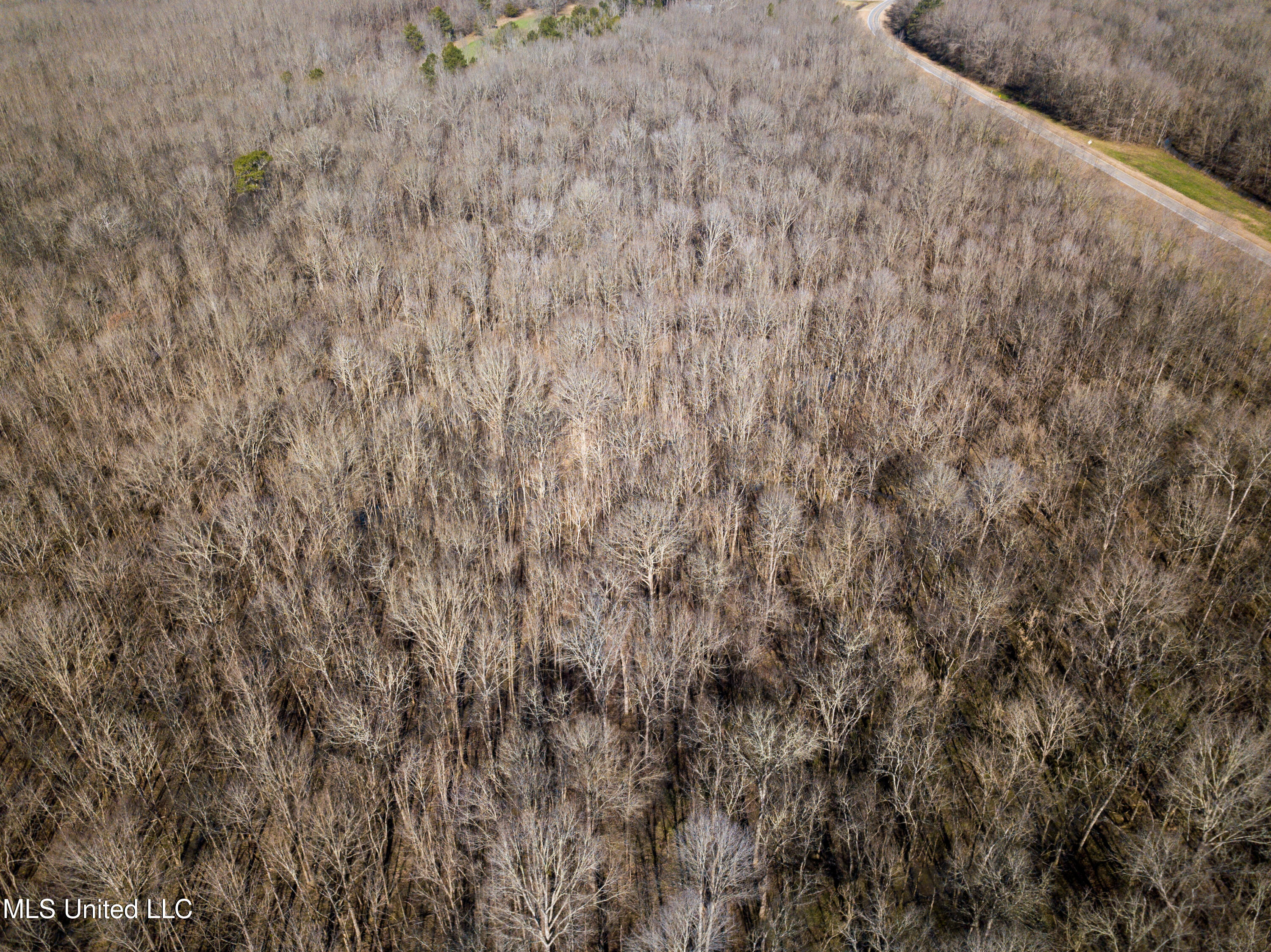 Highway 505 Property Photo 29