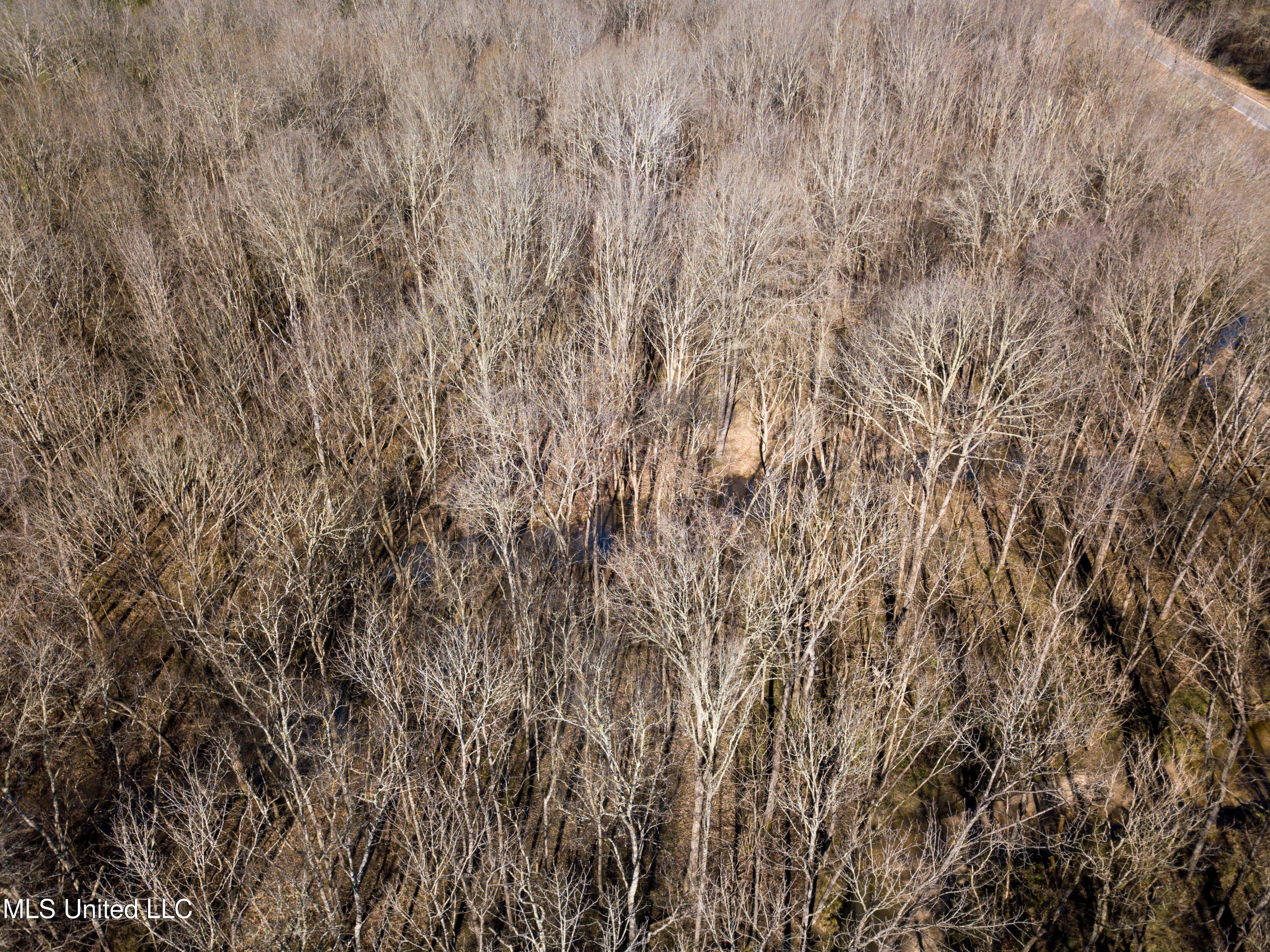 Highway 505 Property Photo 38