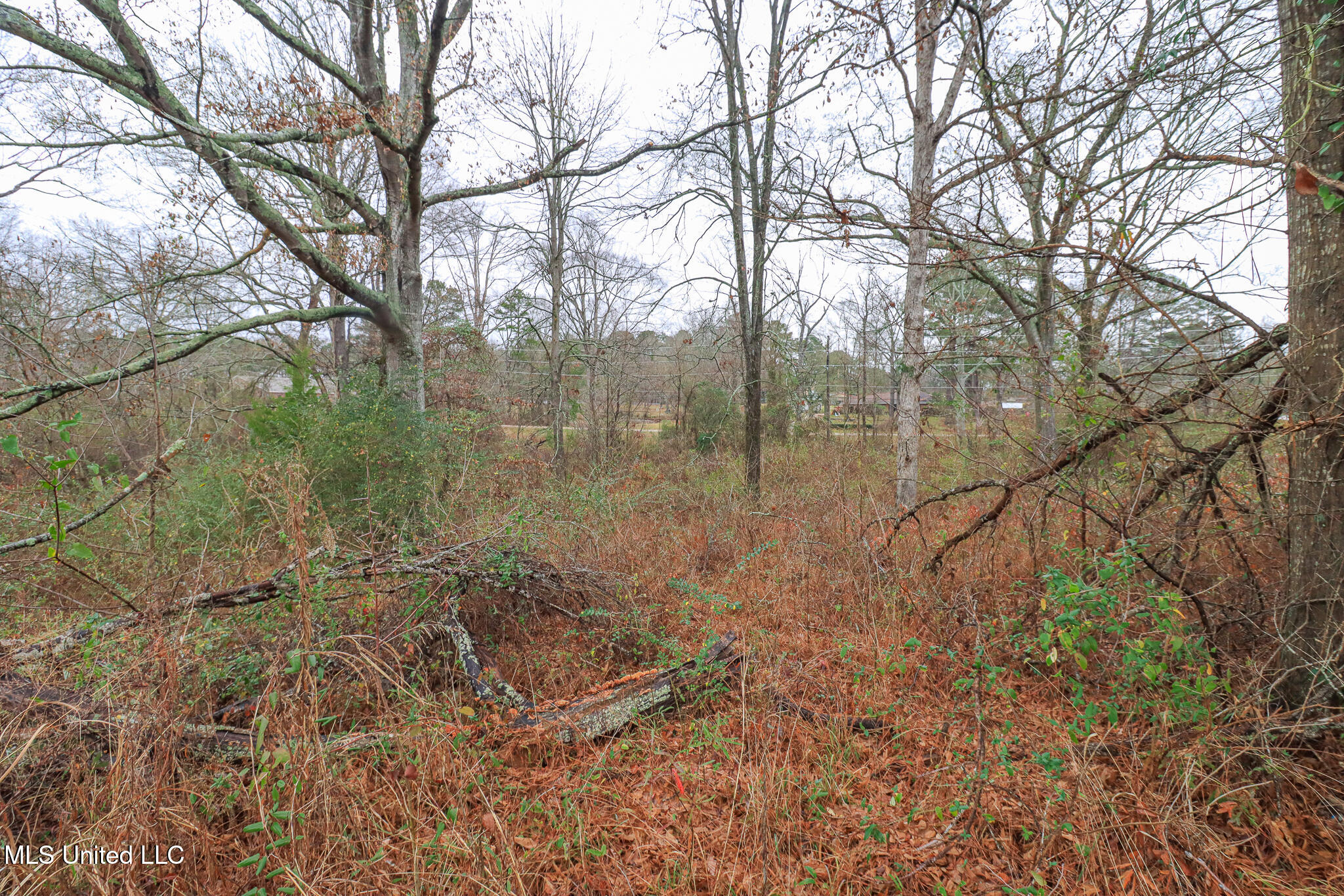Tbd Old Brandon Road Property Photo 16