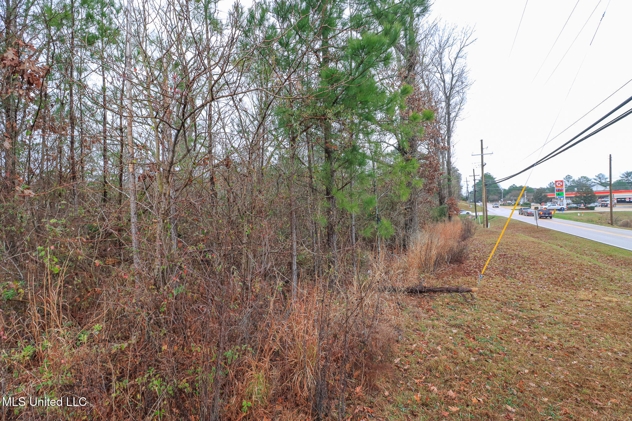 Tbd Old Brandon Road Property Photo 17