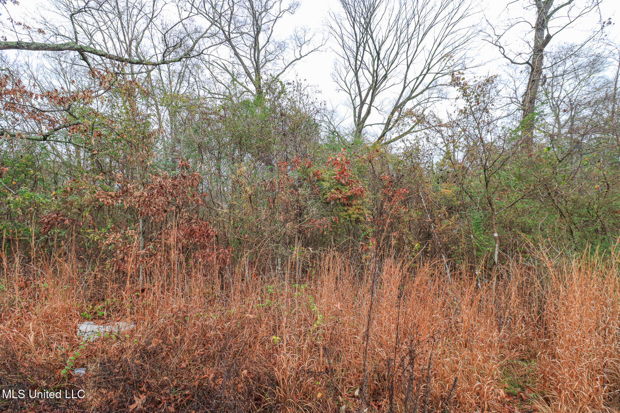 Tbd Old Brandon Road Property Photo 19