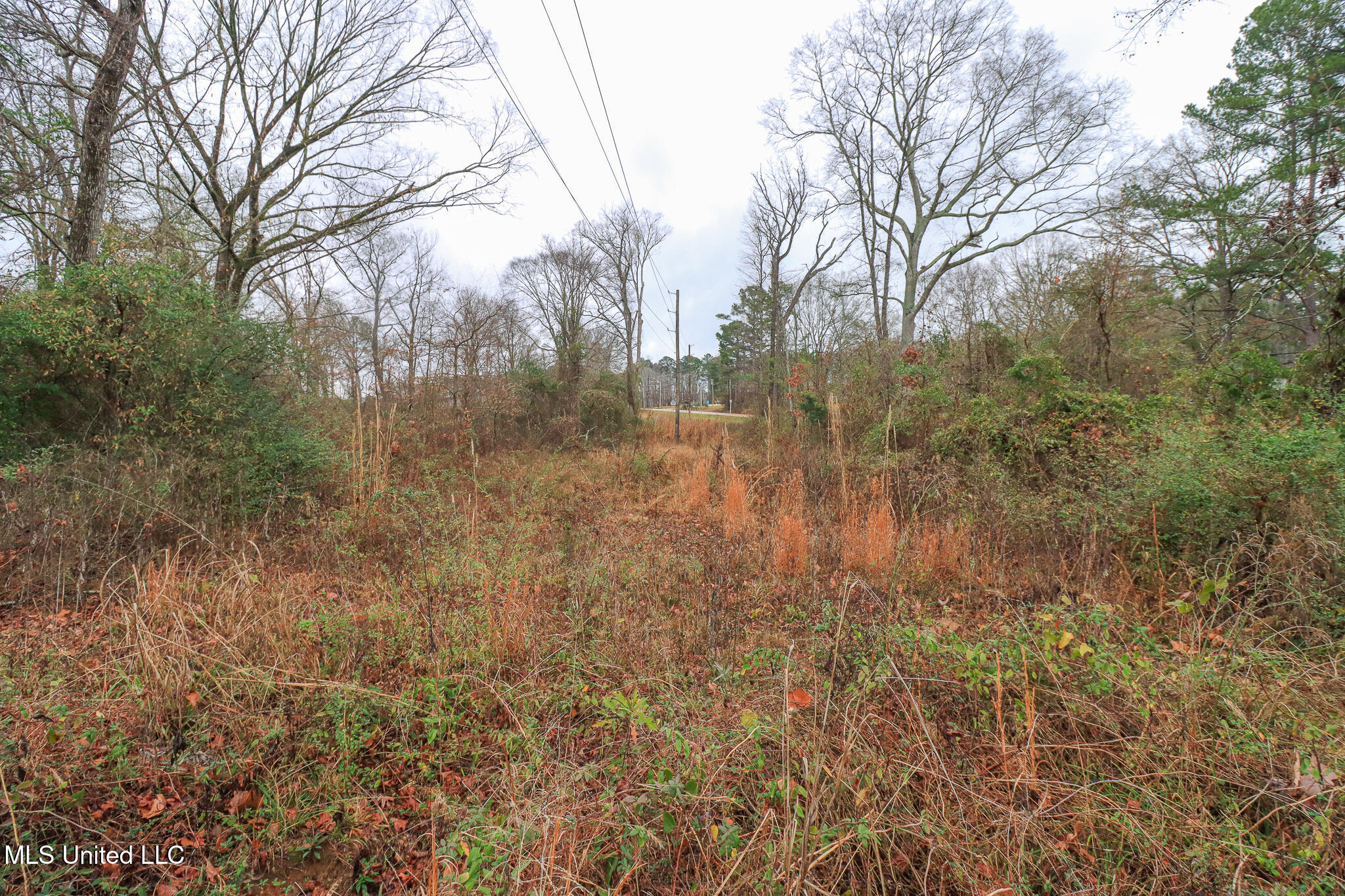 Tbd Old Brandon Road Property Photo 20