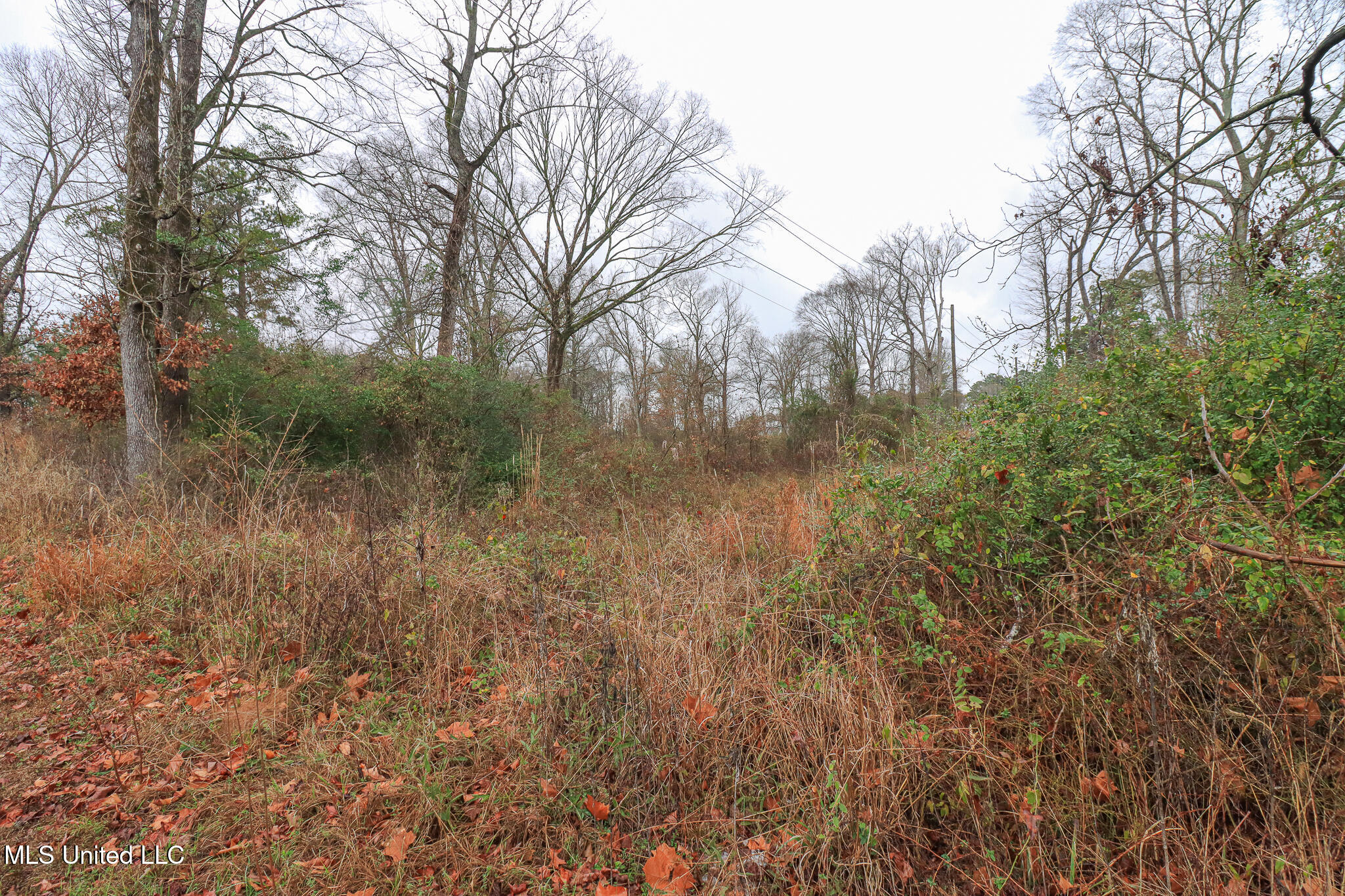 Tbd Old Brandon Road Property Photo 21