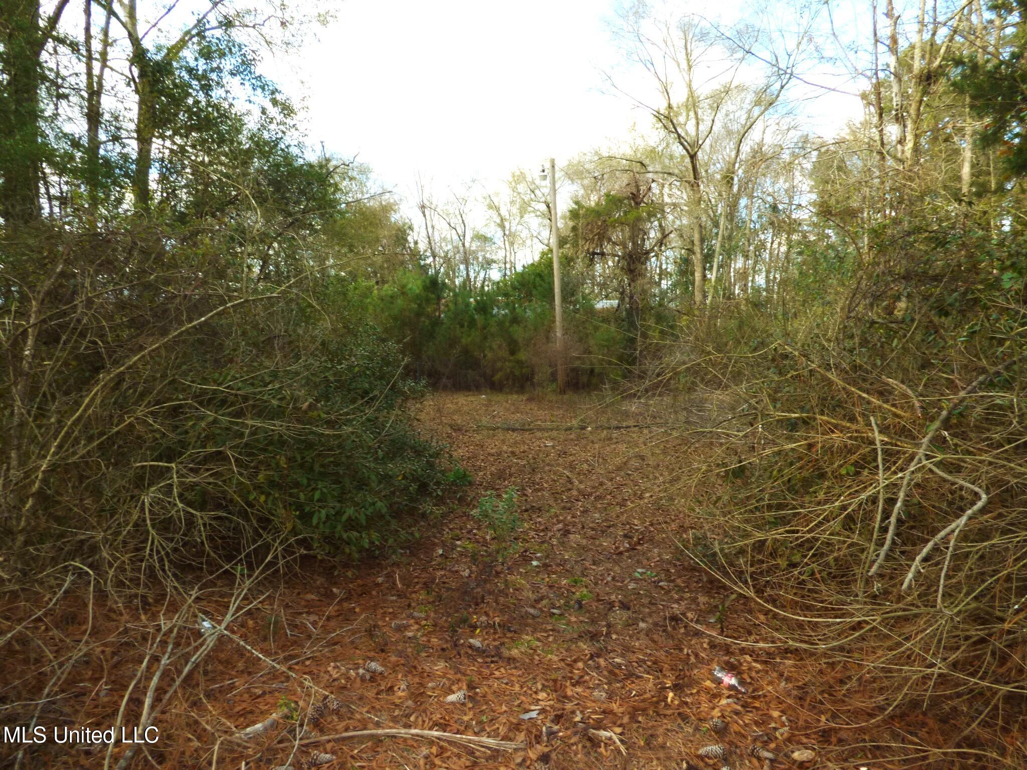 1304 24th Street Property Photo 2