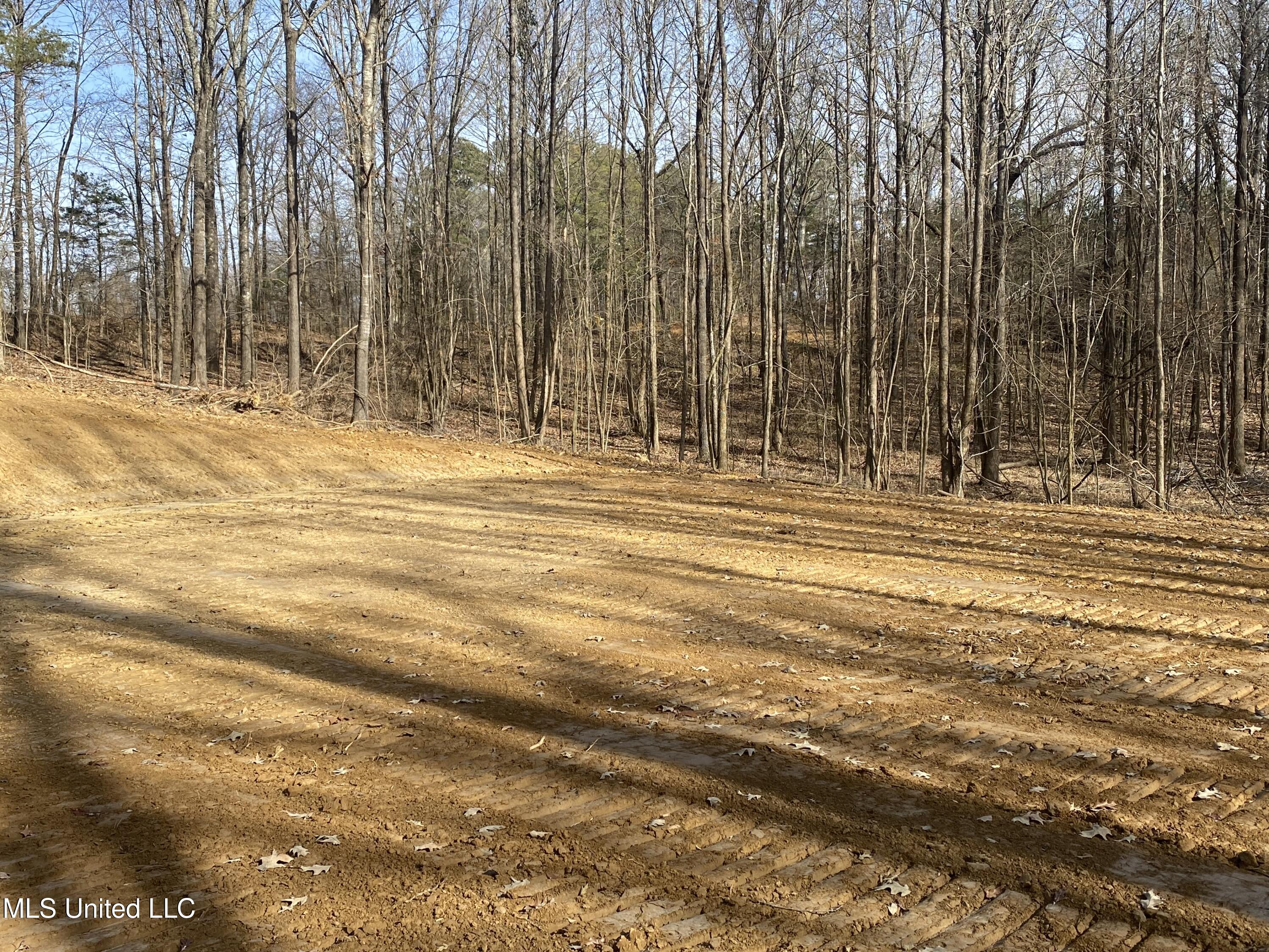 Brownsferry Rd Road Property Photo 5