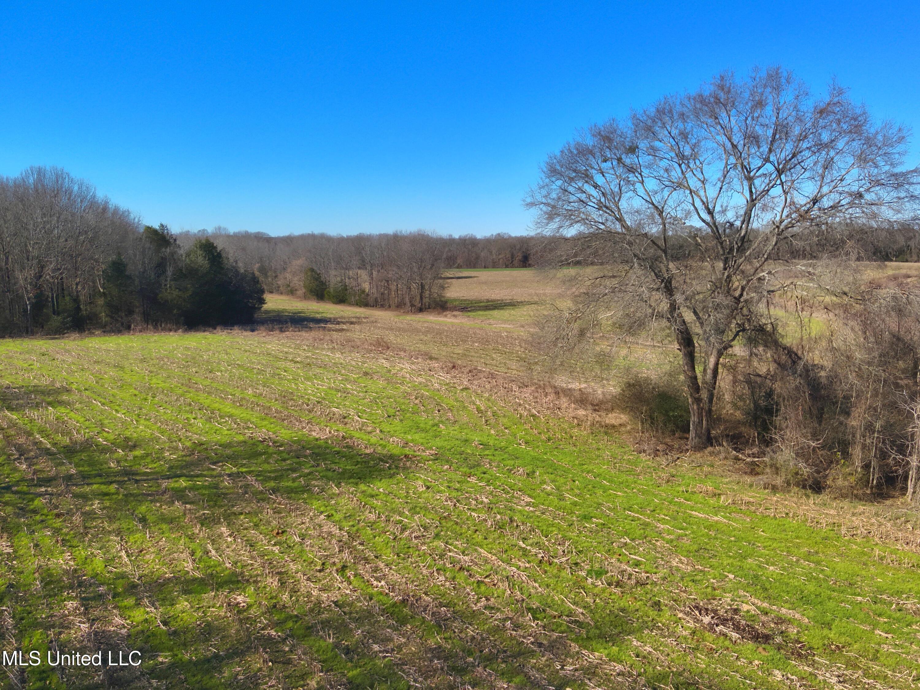 579 Black Jack Road Property Photo 1