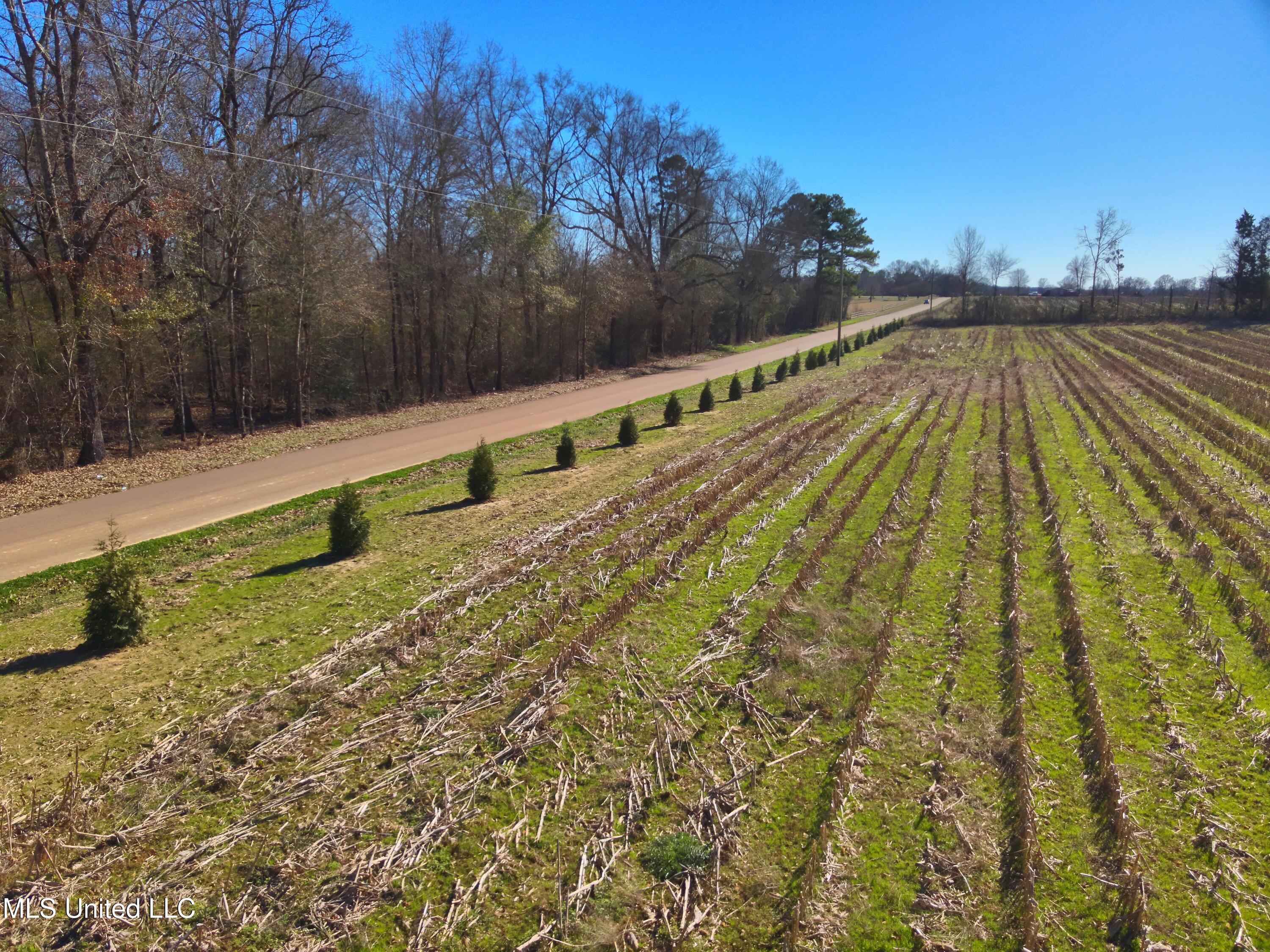 579 Black Jack Road Property Photo 2