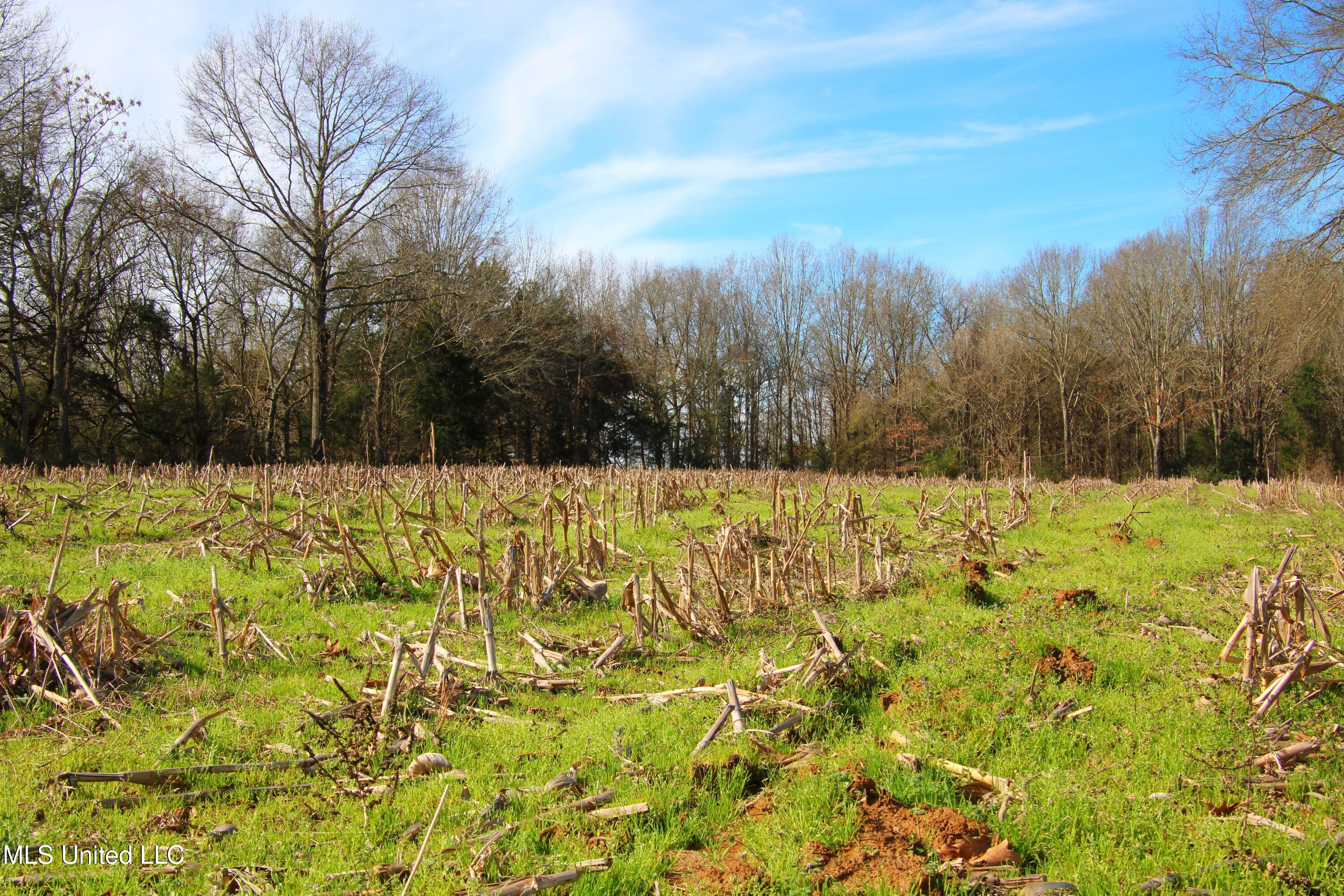 579 Black Jack Road Property Photo 3