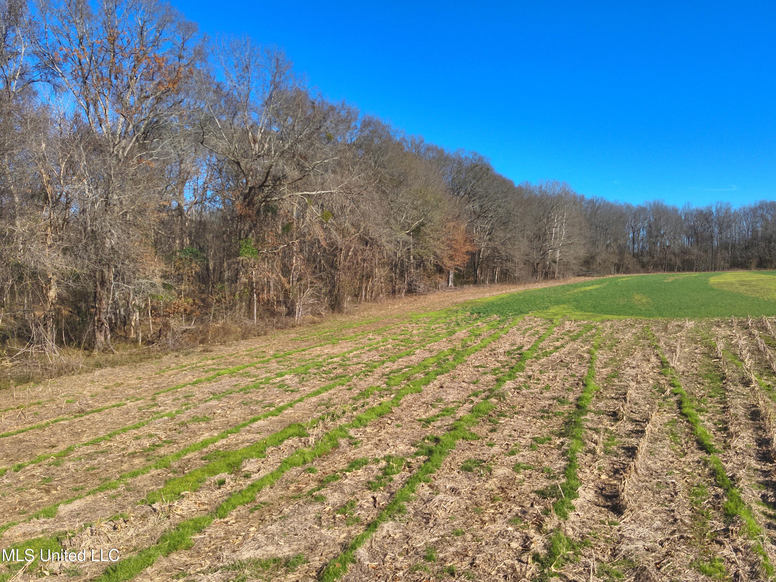579 Black Jack Road Property Photo 4
