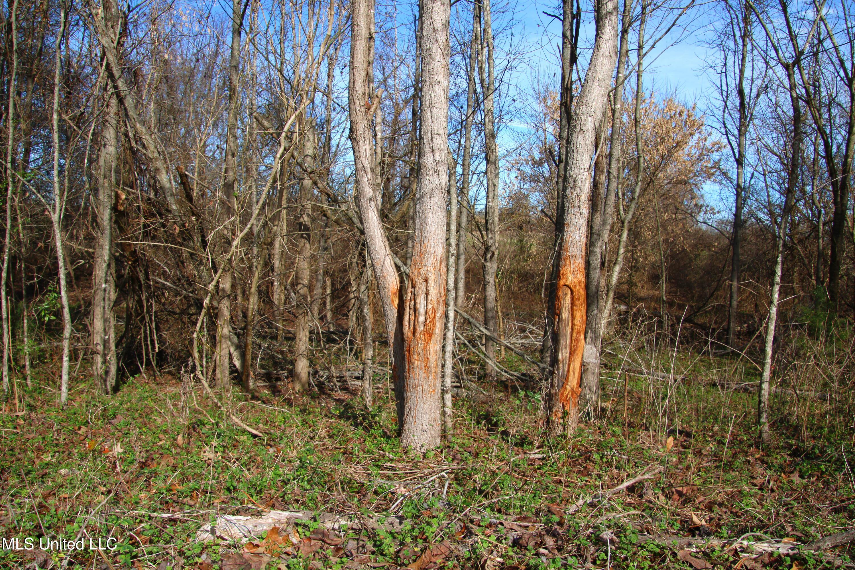 579 Black Jack Road Property Photo 6