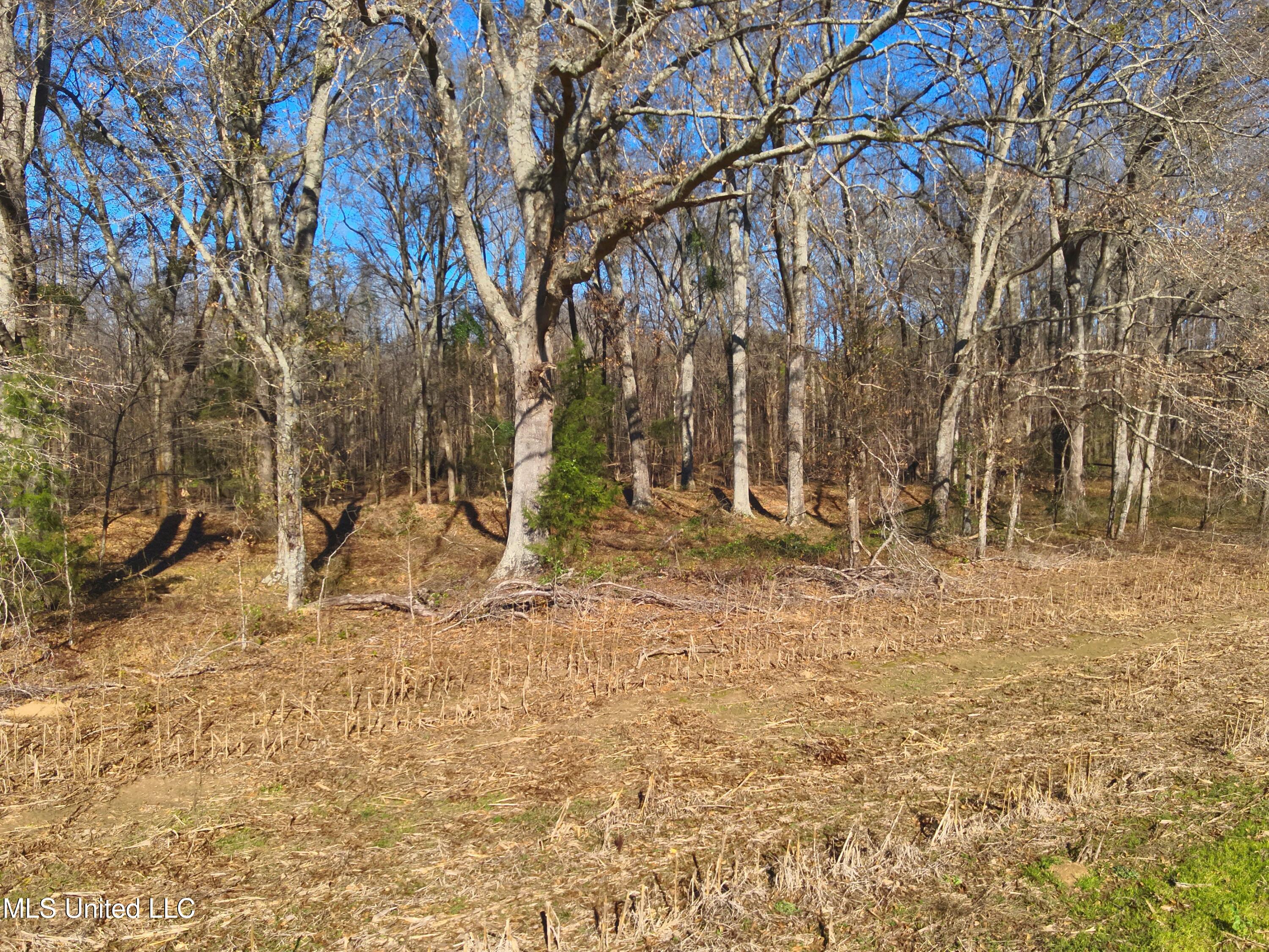 579 Black Jack Road Property Photo 7