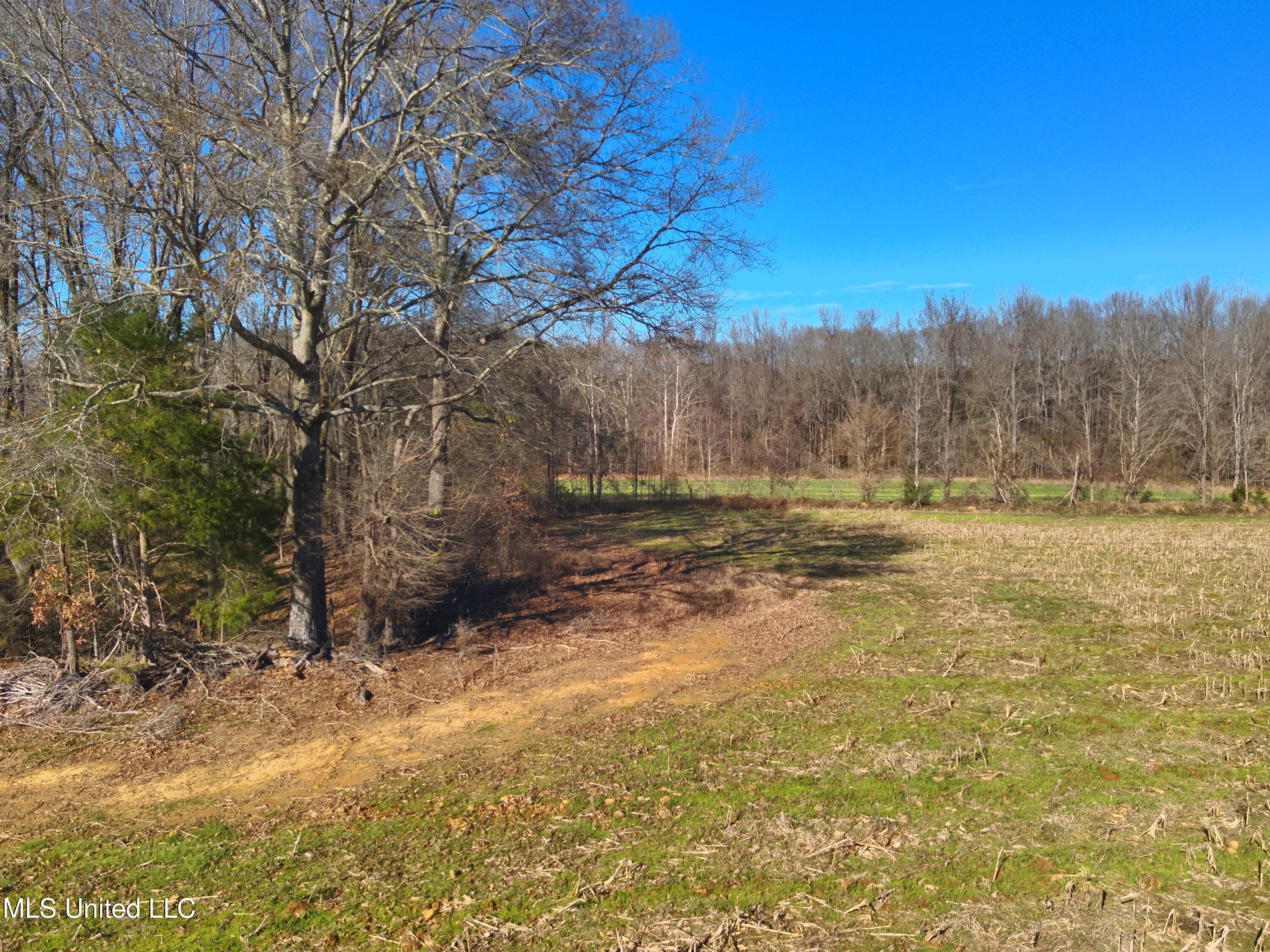 579 Black Jack Road Property Photo 8