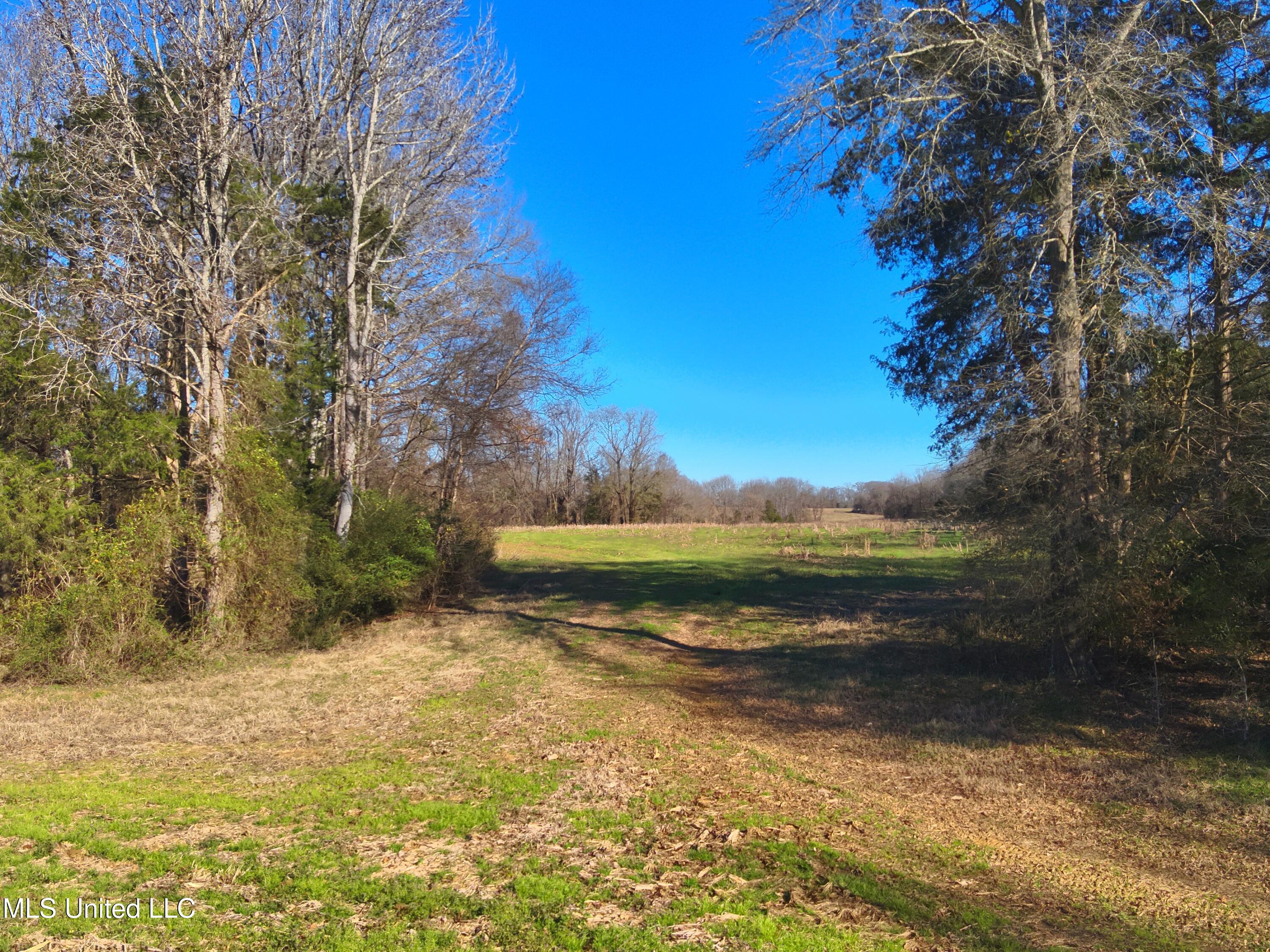 579 Black Jack Road Property Photo 10
