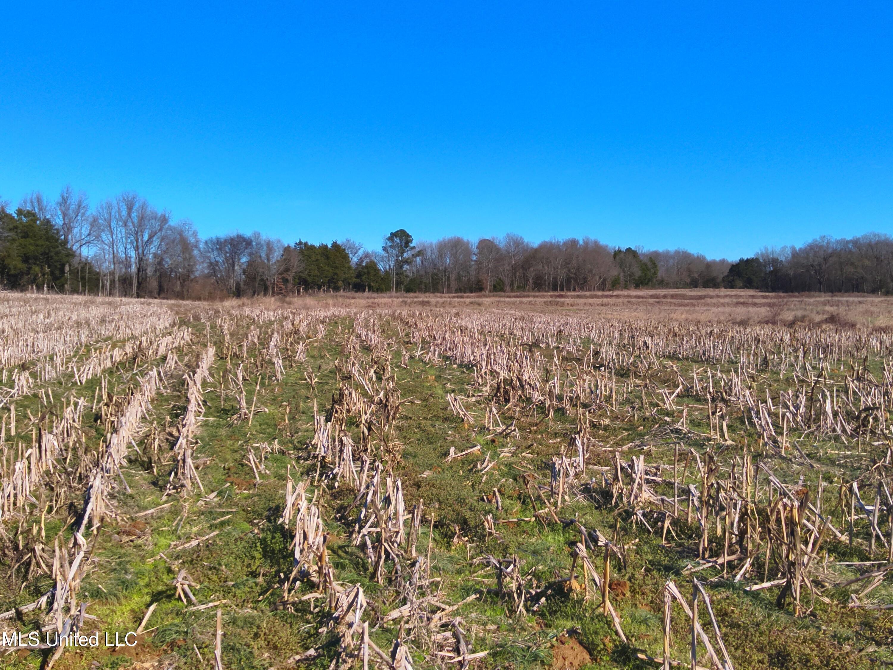 579 Black Jack Road Property Photo 11
