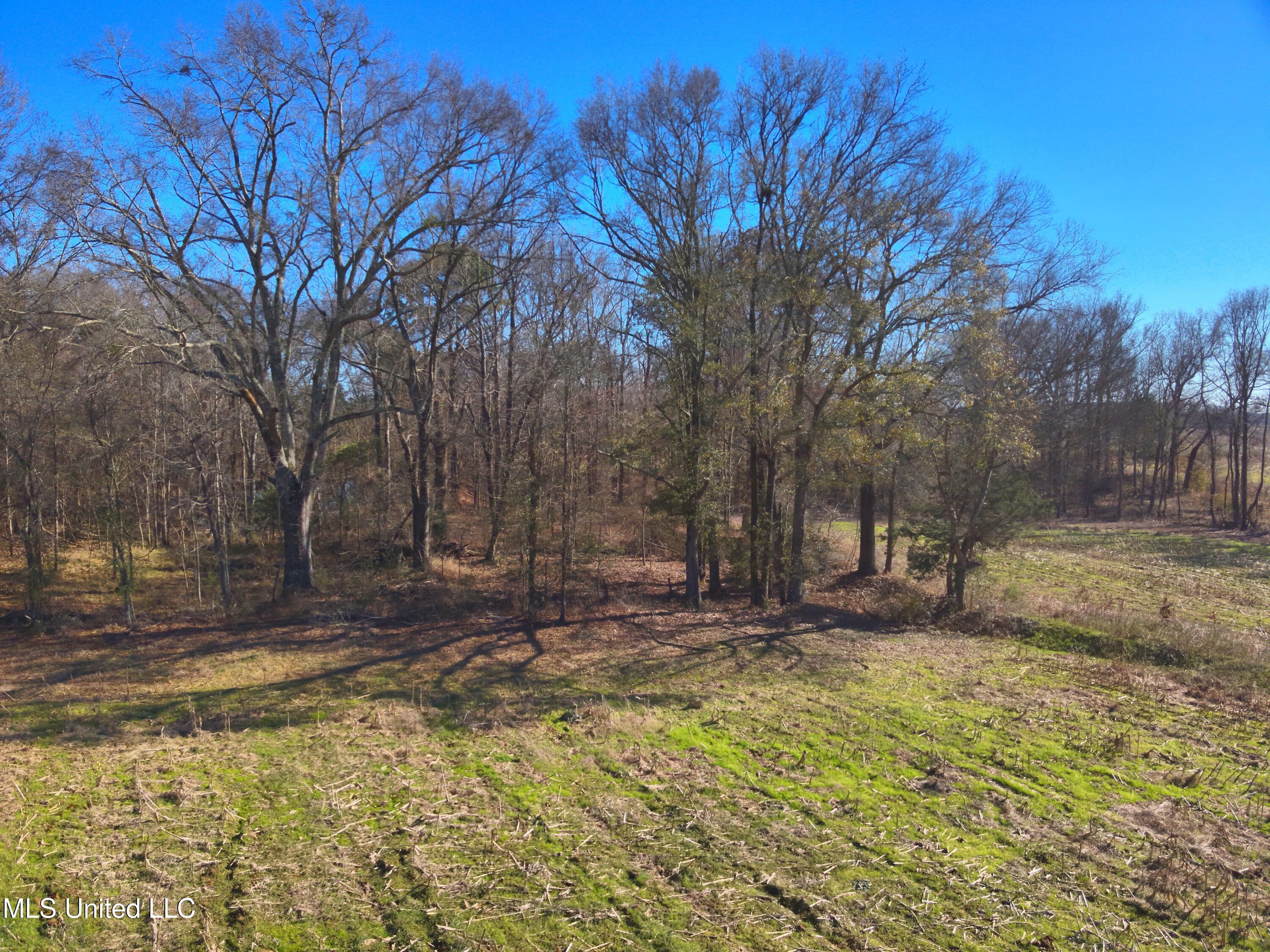 579 Black Jack Road Property Photo 13