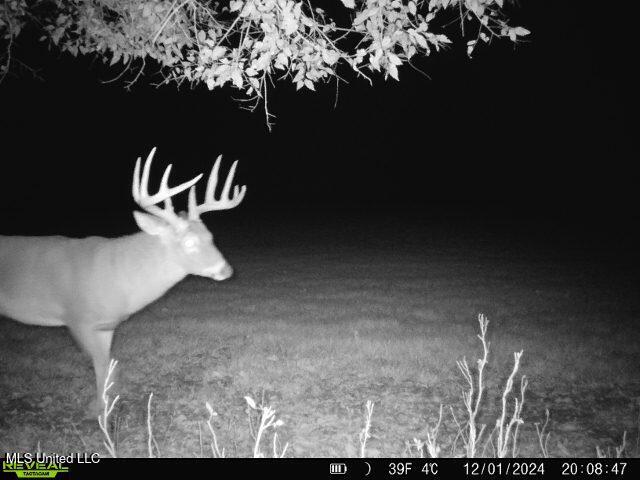579 Black Jack Road Property Photo 14