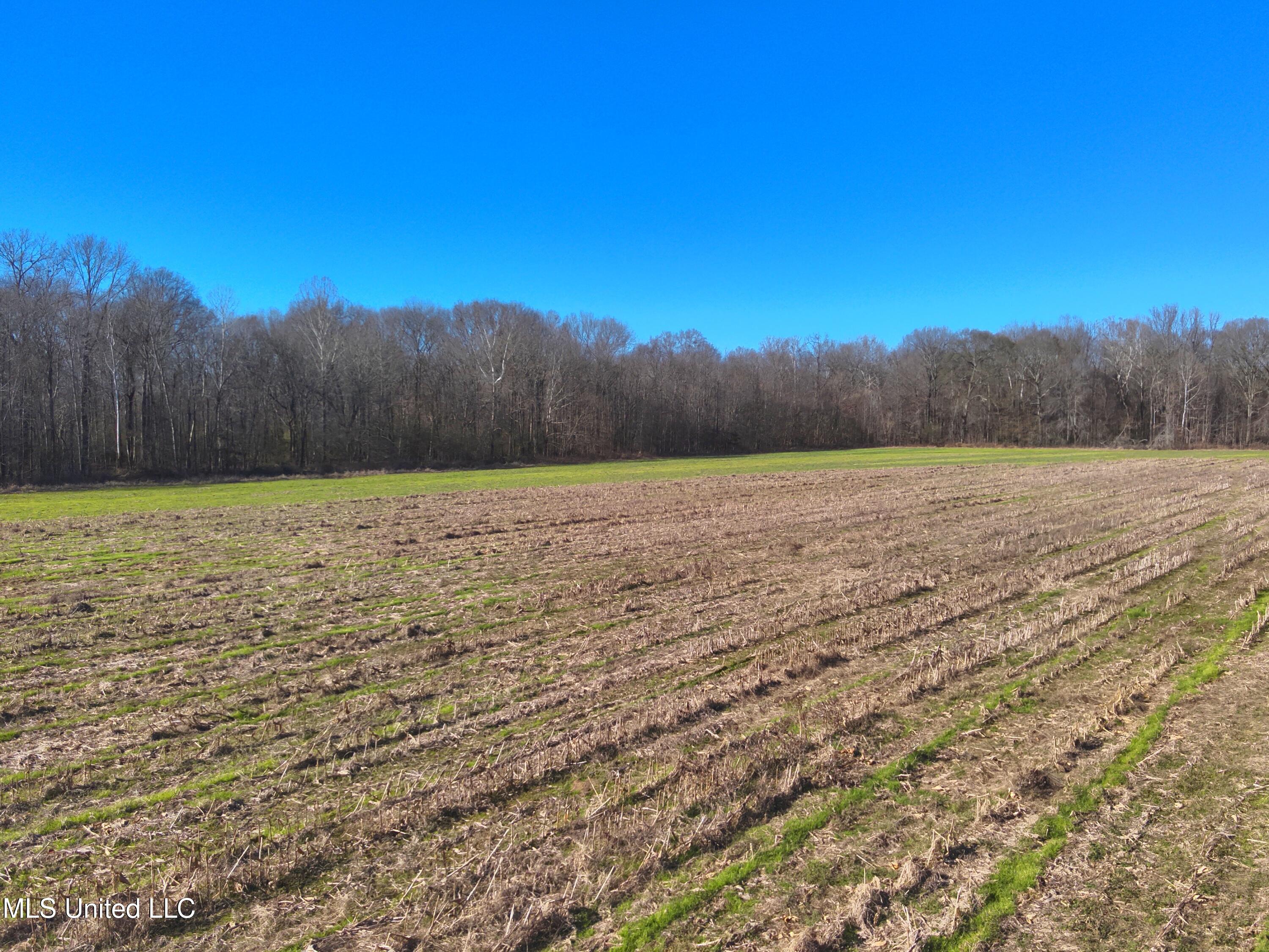 579 Black Jack Road Property Photo 15
