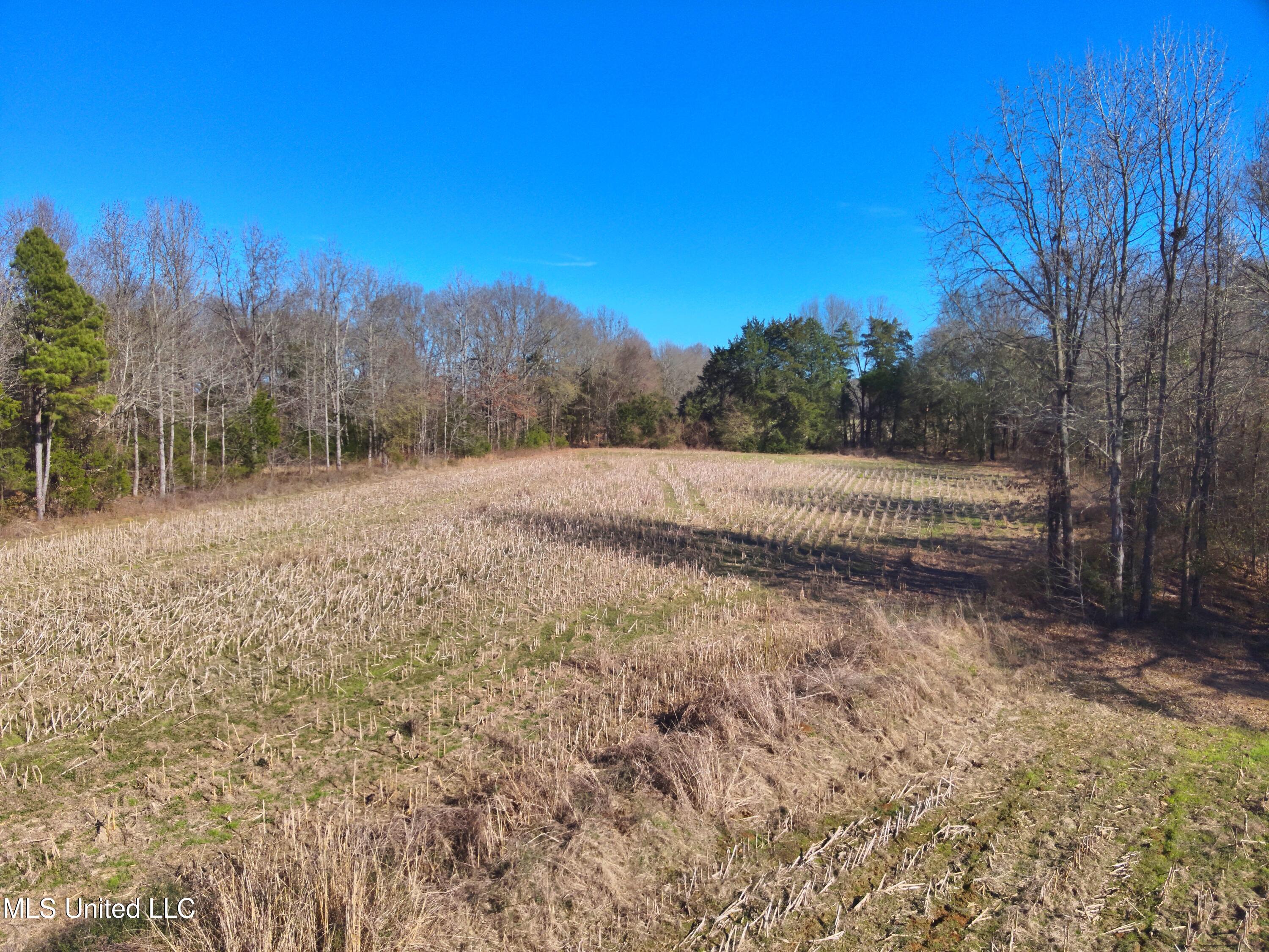 579 Black Jack Road Property Photo 16