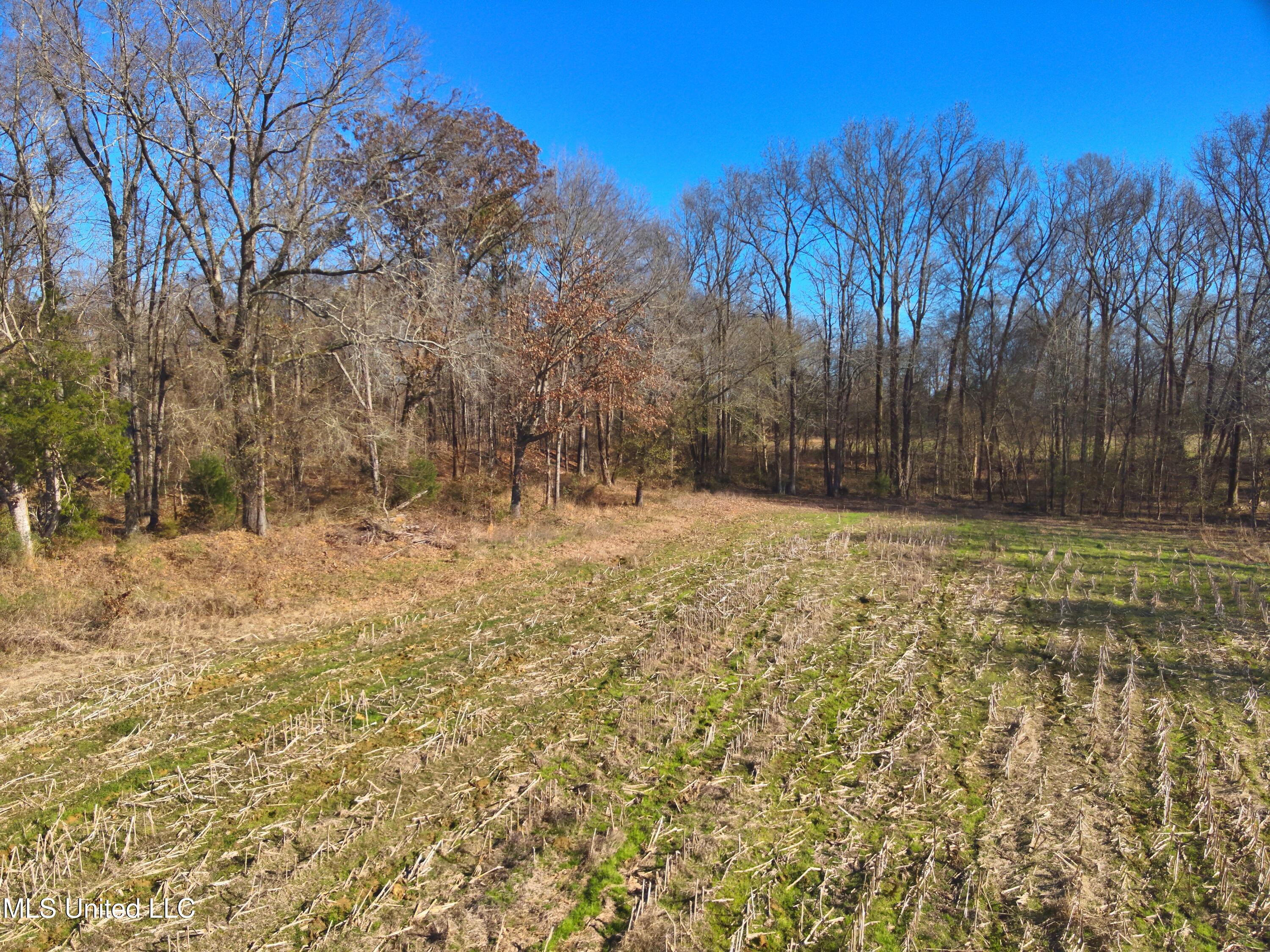 579 Black Jack Road Property Photo 17