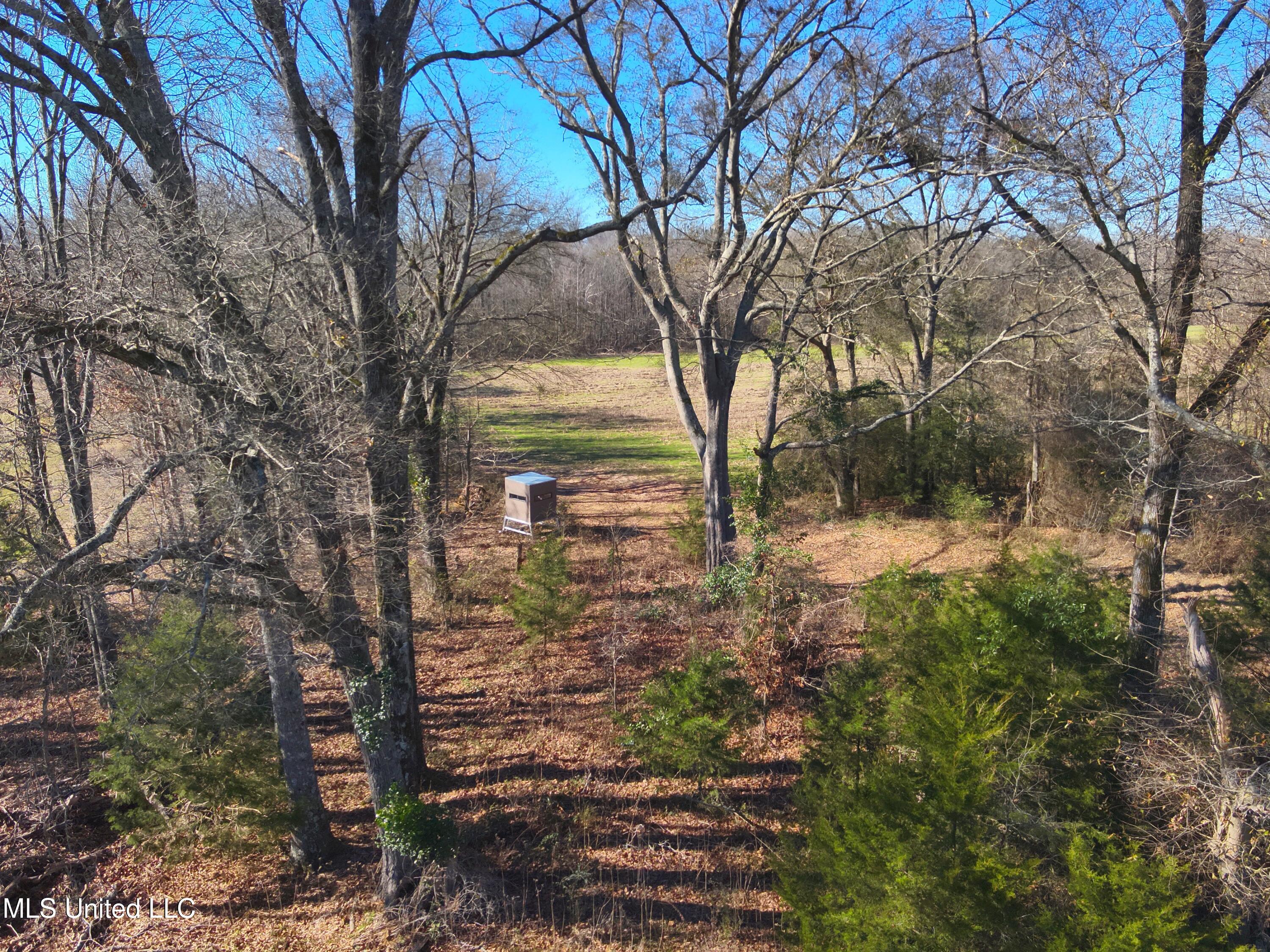 579 Black Jack Road Property Photo 18