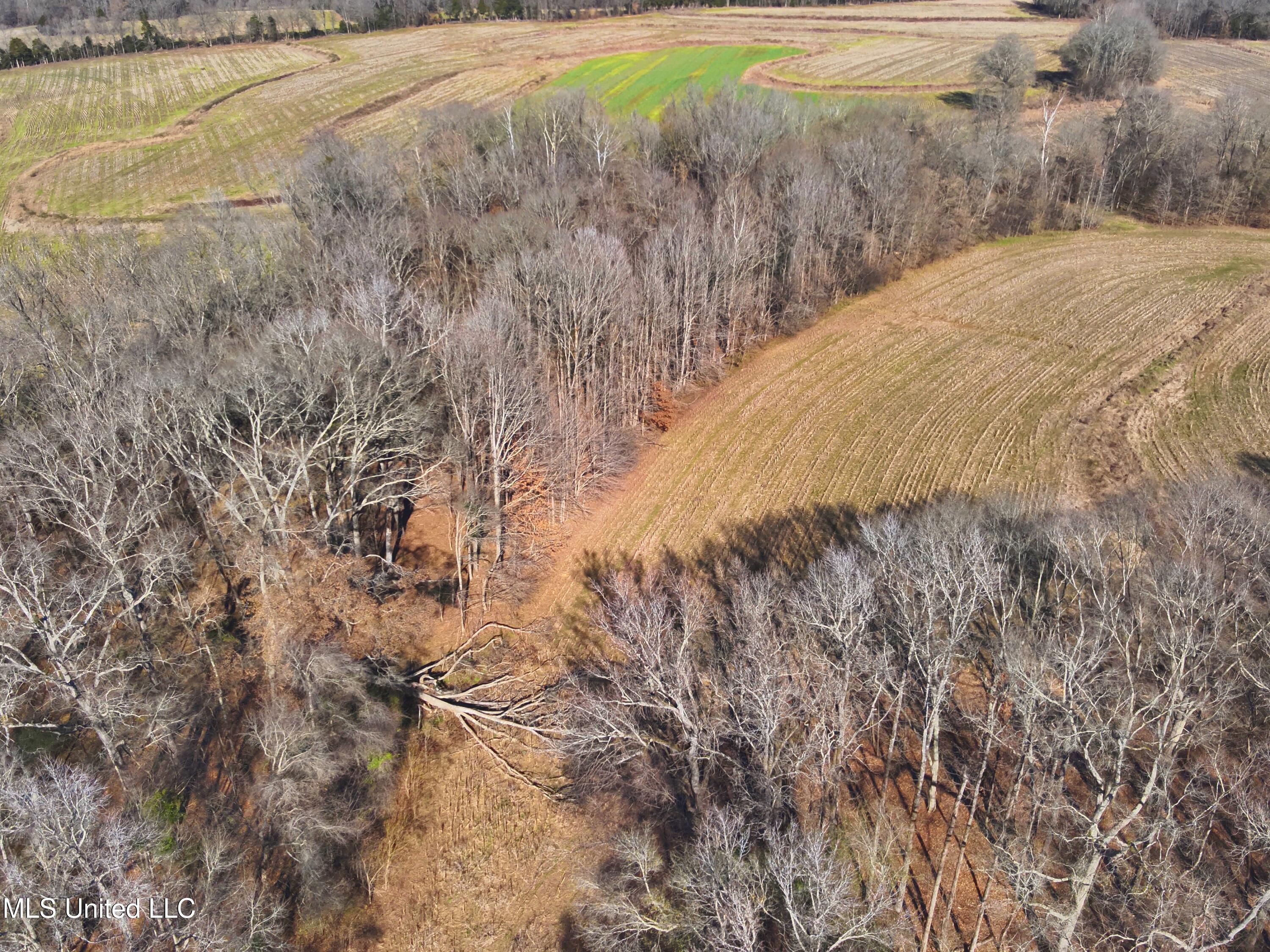 579 Black Jack Road Property Photo 19