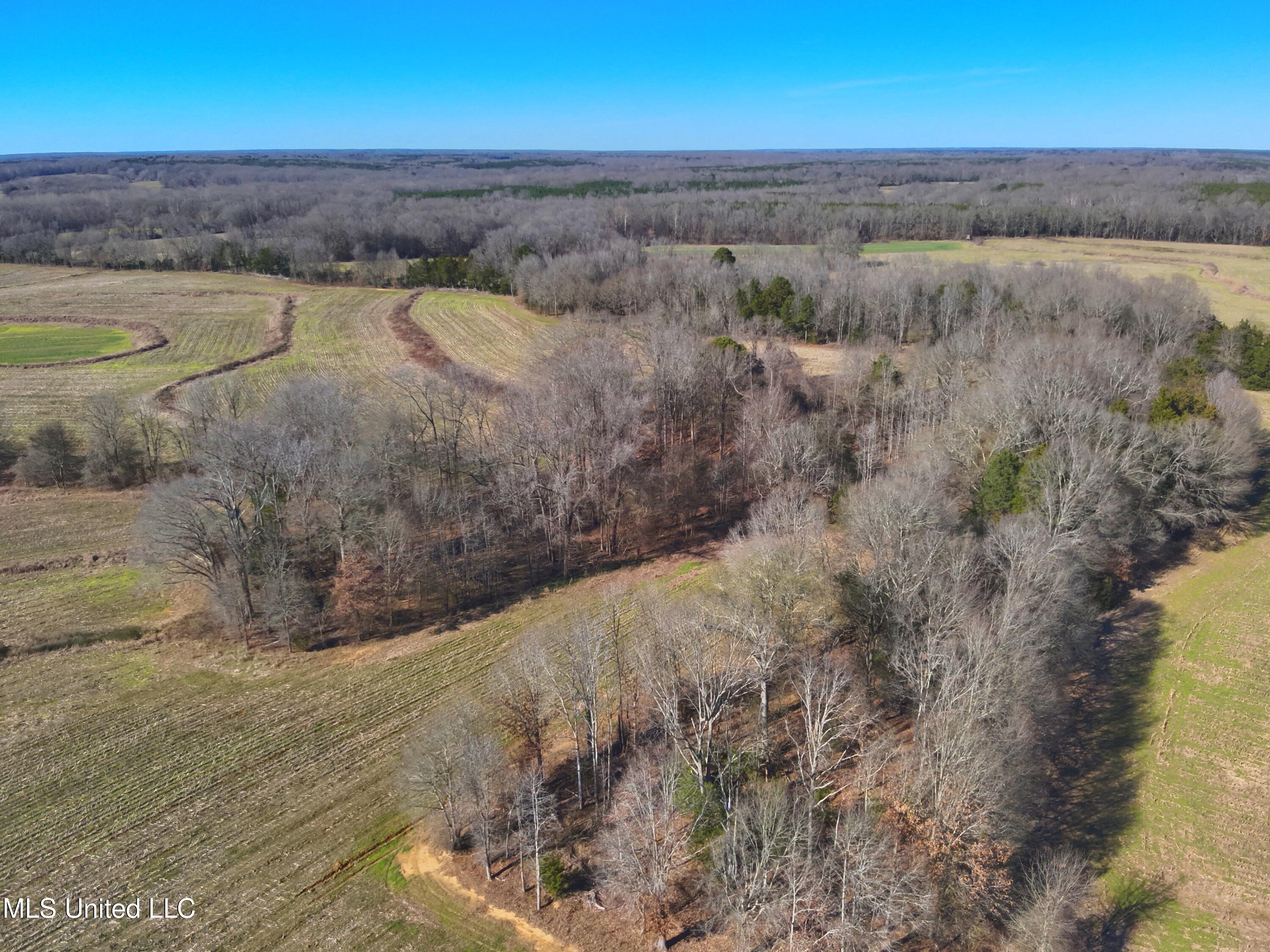 579 Black Jack Road Property Photo 20