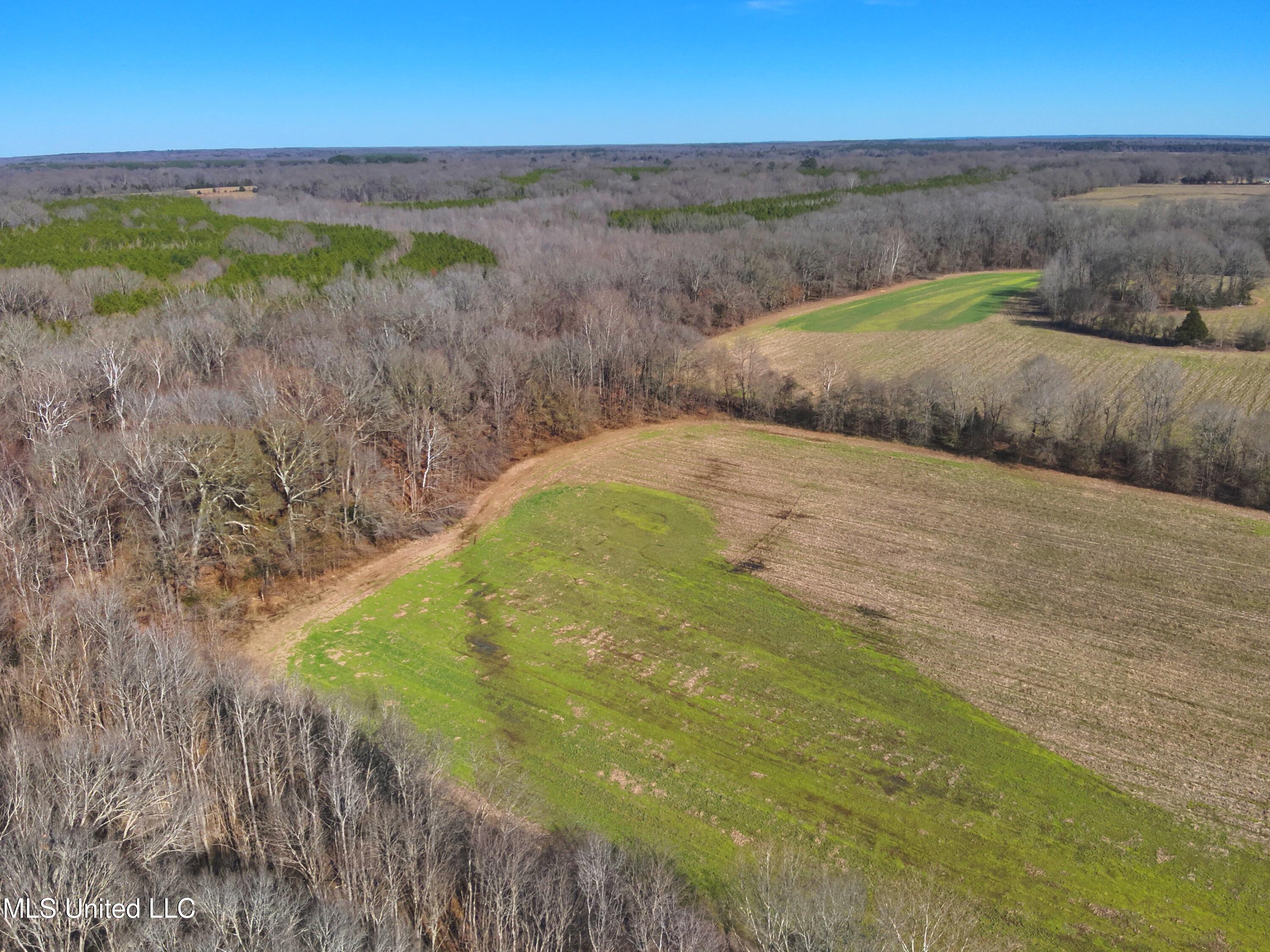 579 Black Jack Road Property Photo 23