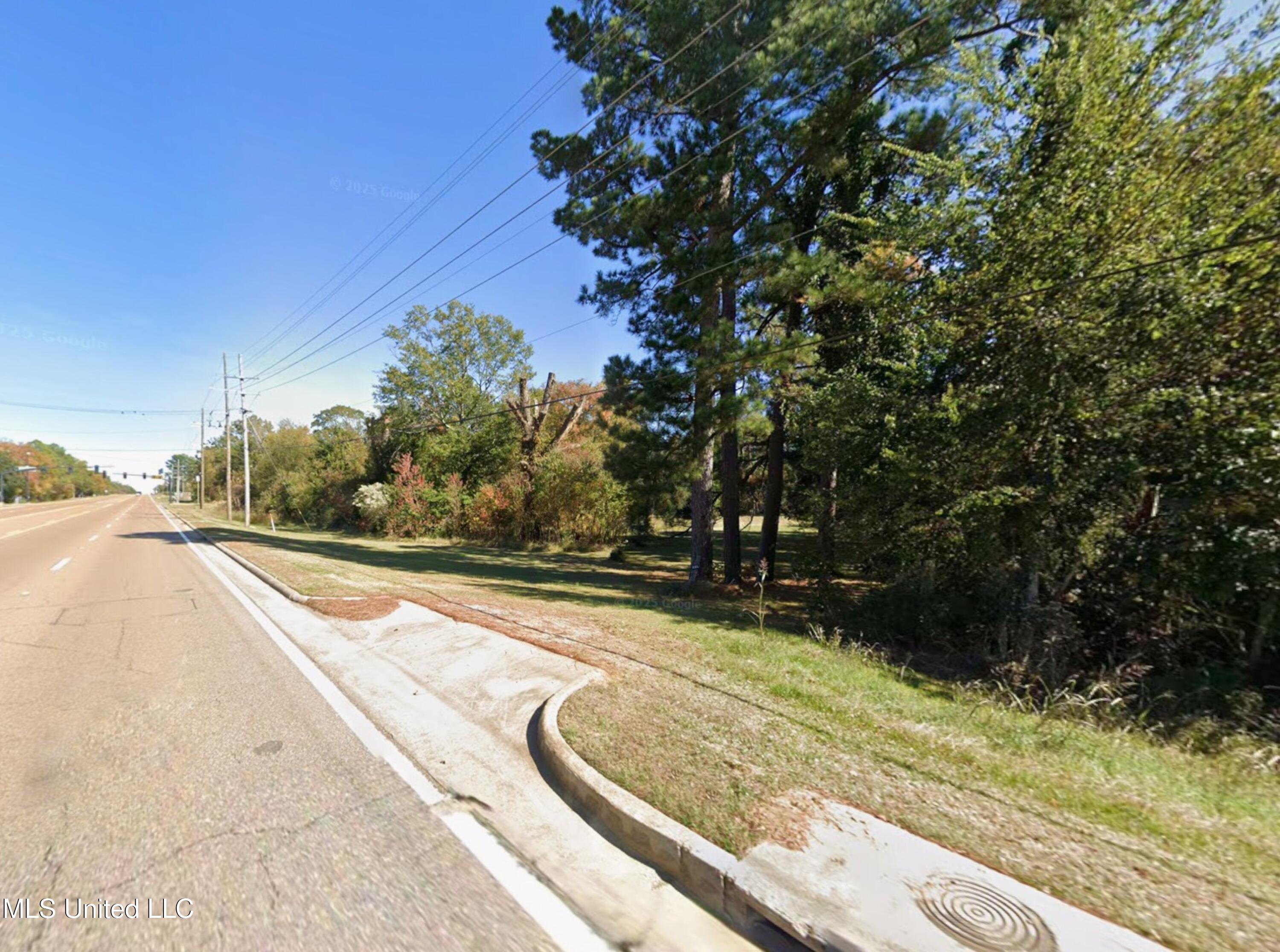 1176 Highway 51 N Property Photo 1