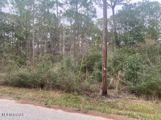 Azalea Lane Property Photo 1