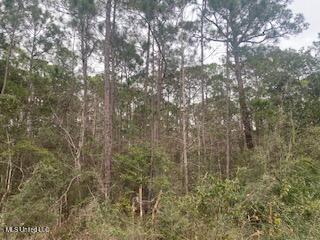 Azalea Lane Property Photo 2