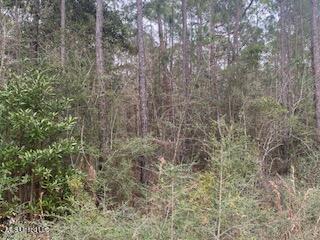 Azalea Lane Property Photo 3