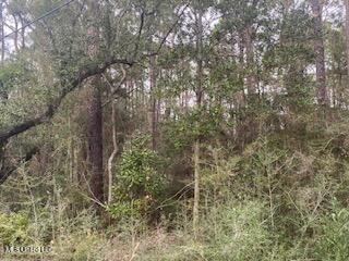 Azalea Lane Property Photo 4