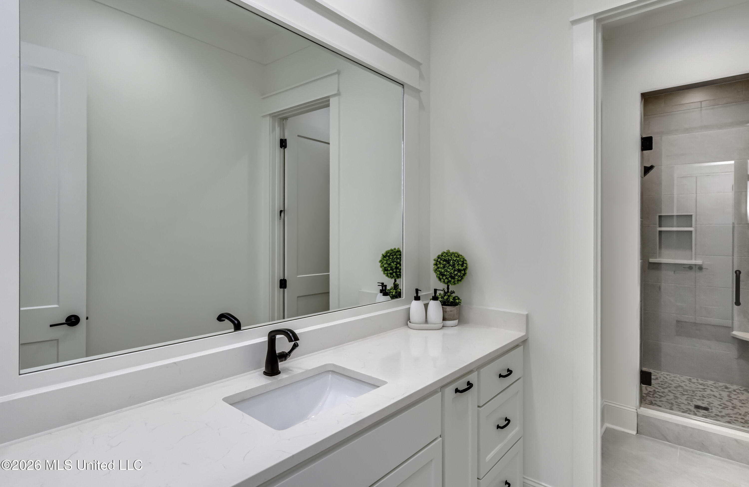 624 Big Valley Loop Property Photo 61