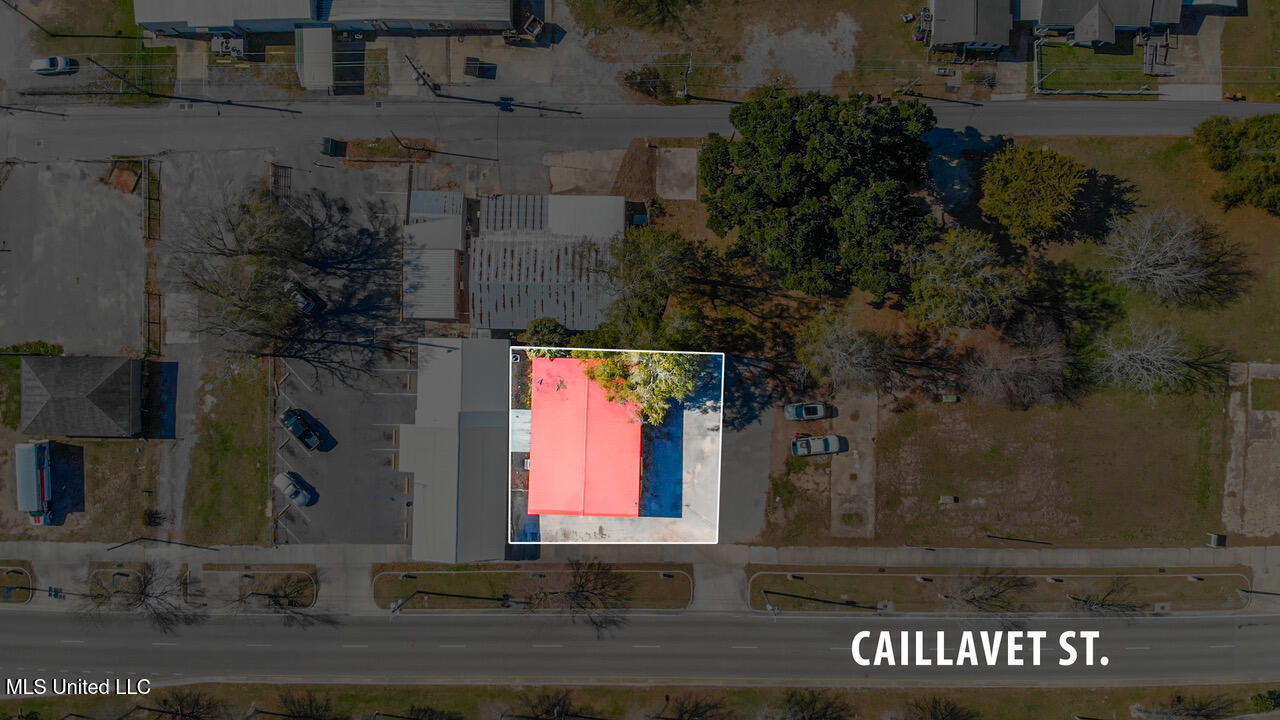 319 Caillavet Street Property Photo 6