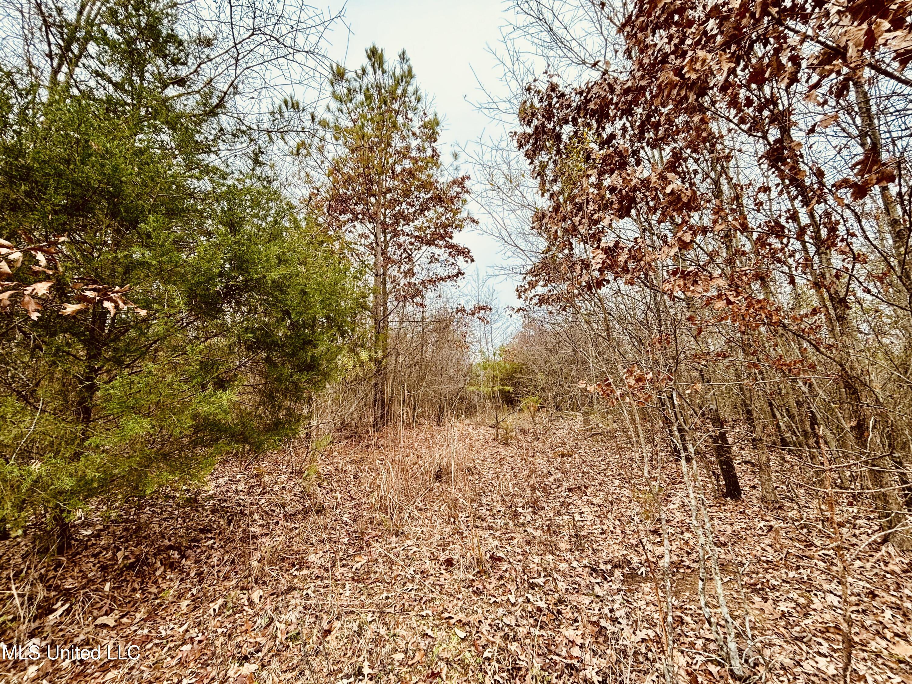 01 South Frontage Road Property Photo 6