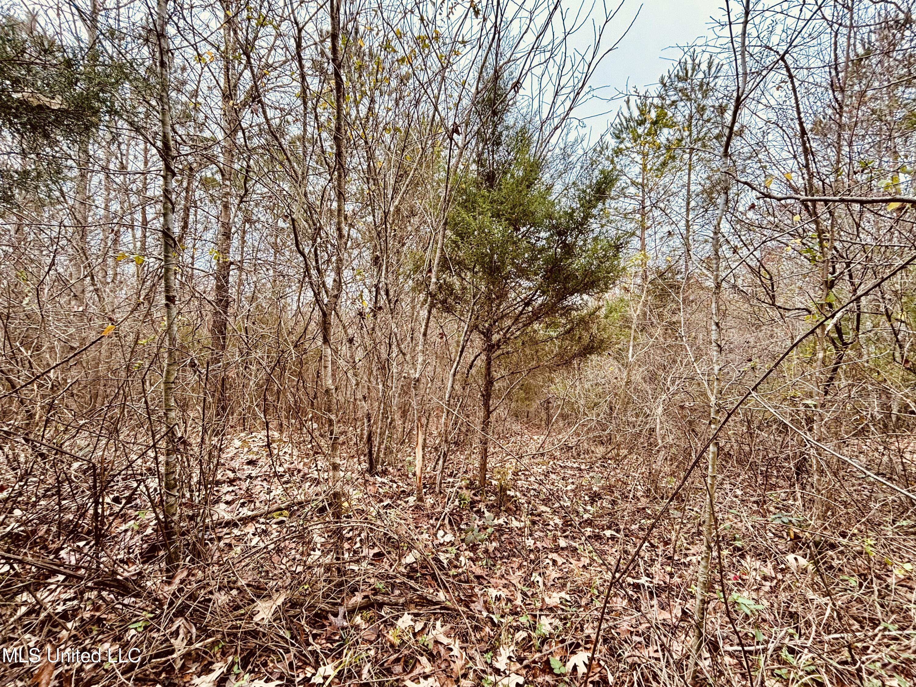 01 South Frontage Road Property Photo 7