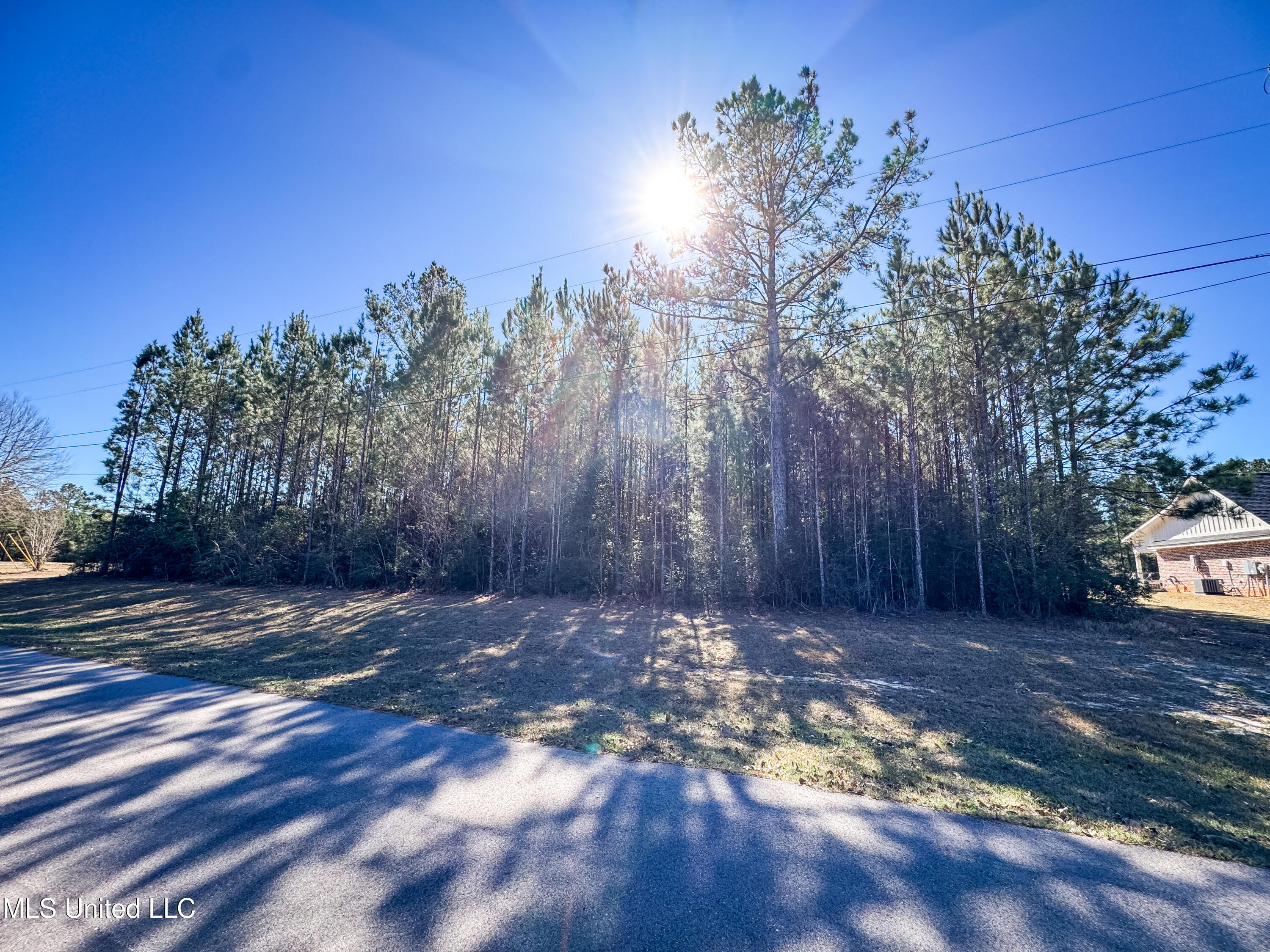 Dill Road Property Photo 3