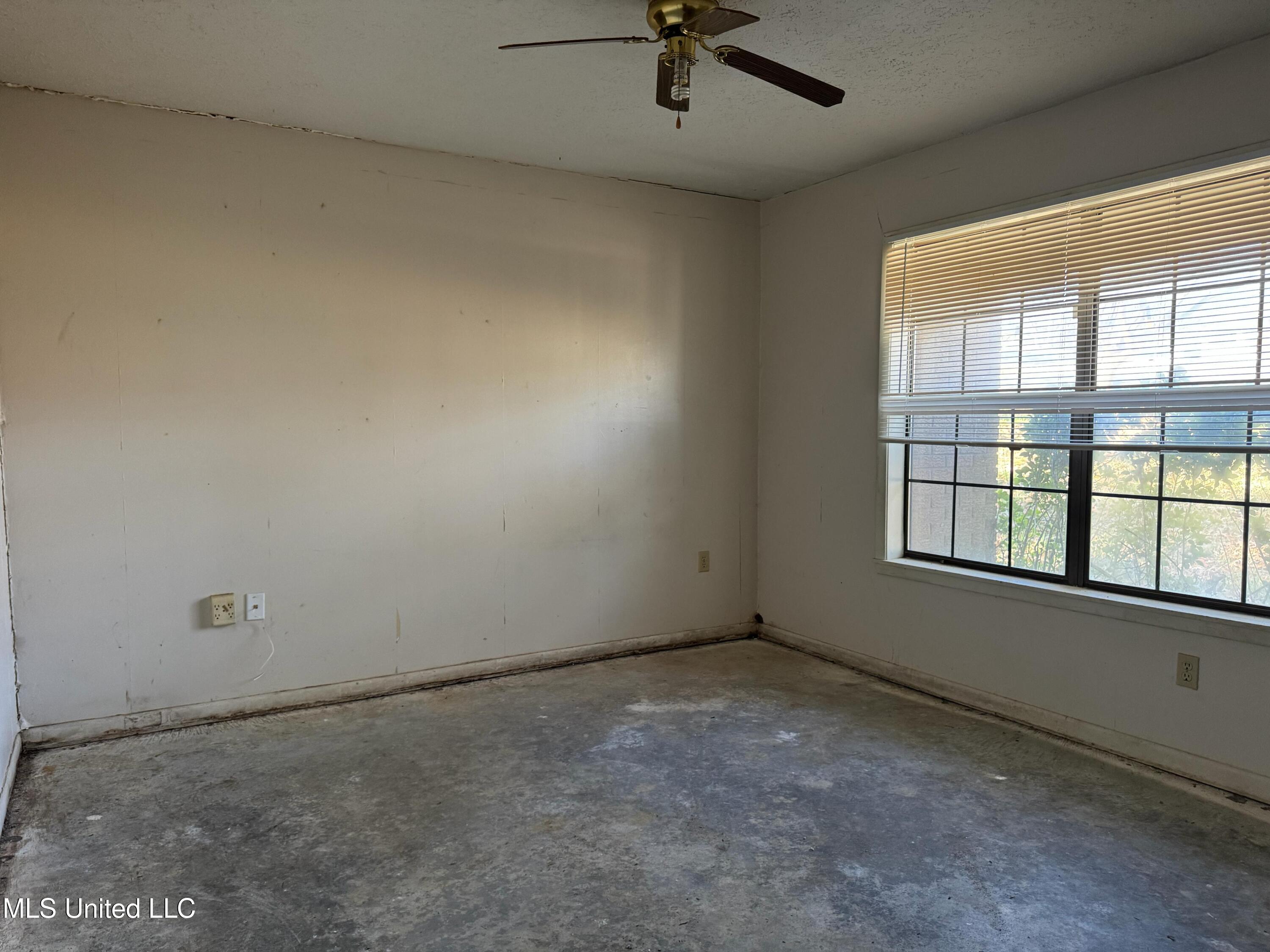 101 Sandra Cove Property Photo 7