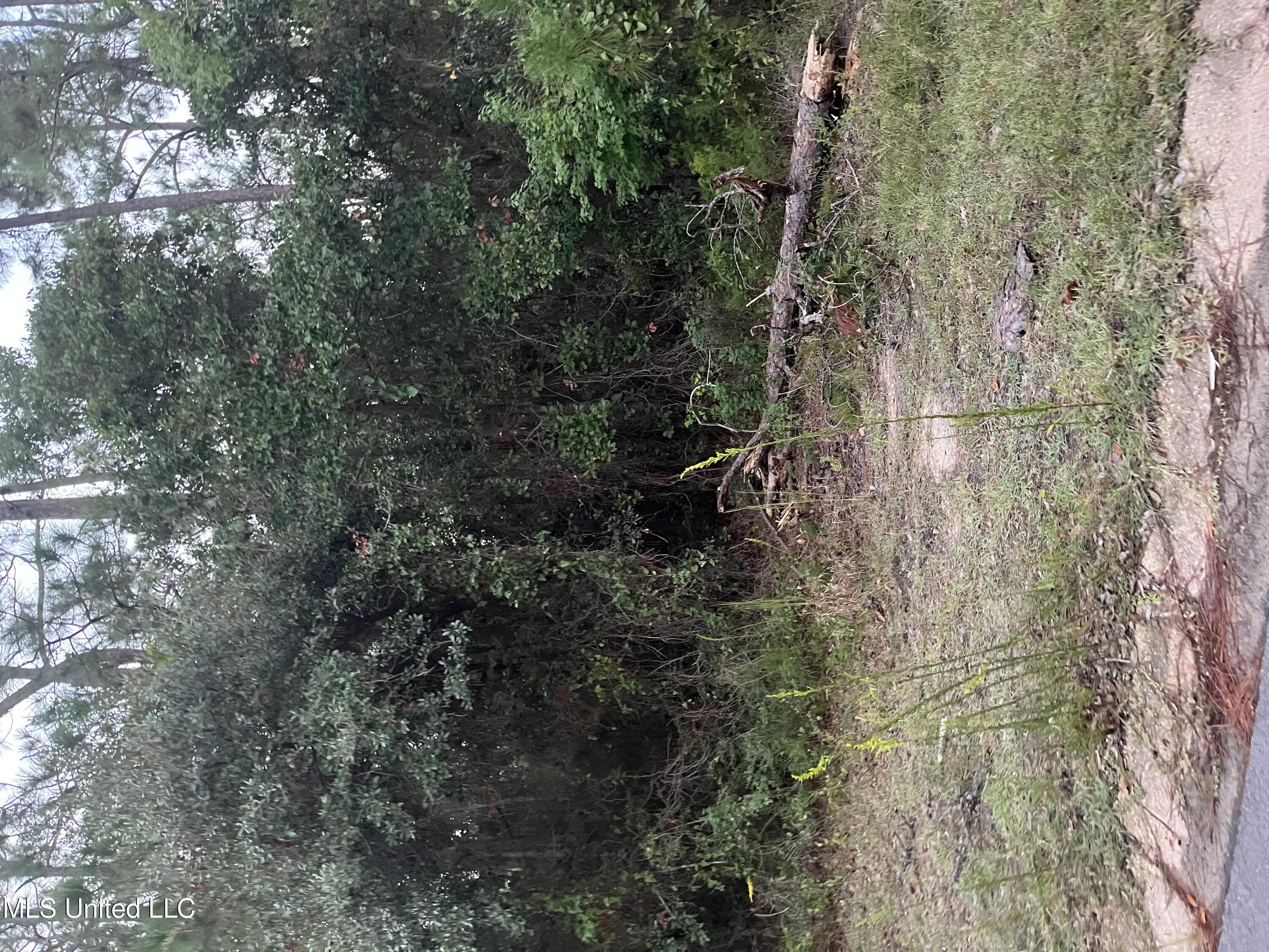 0 Greenwood Drive Property Photo 1