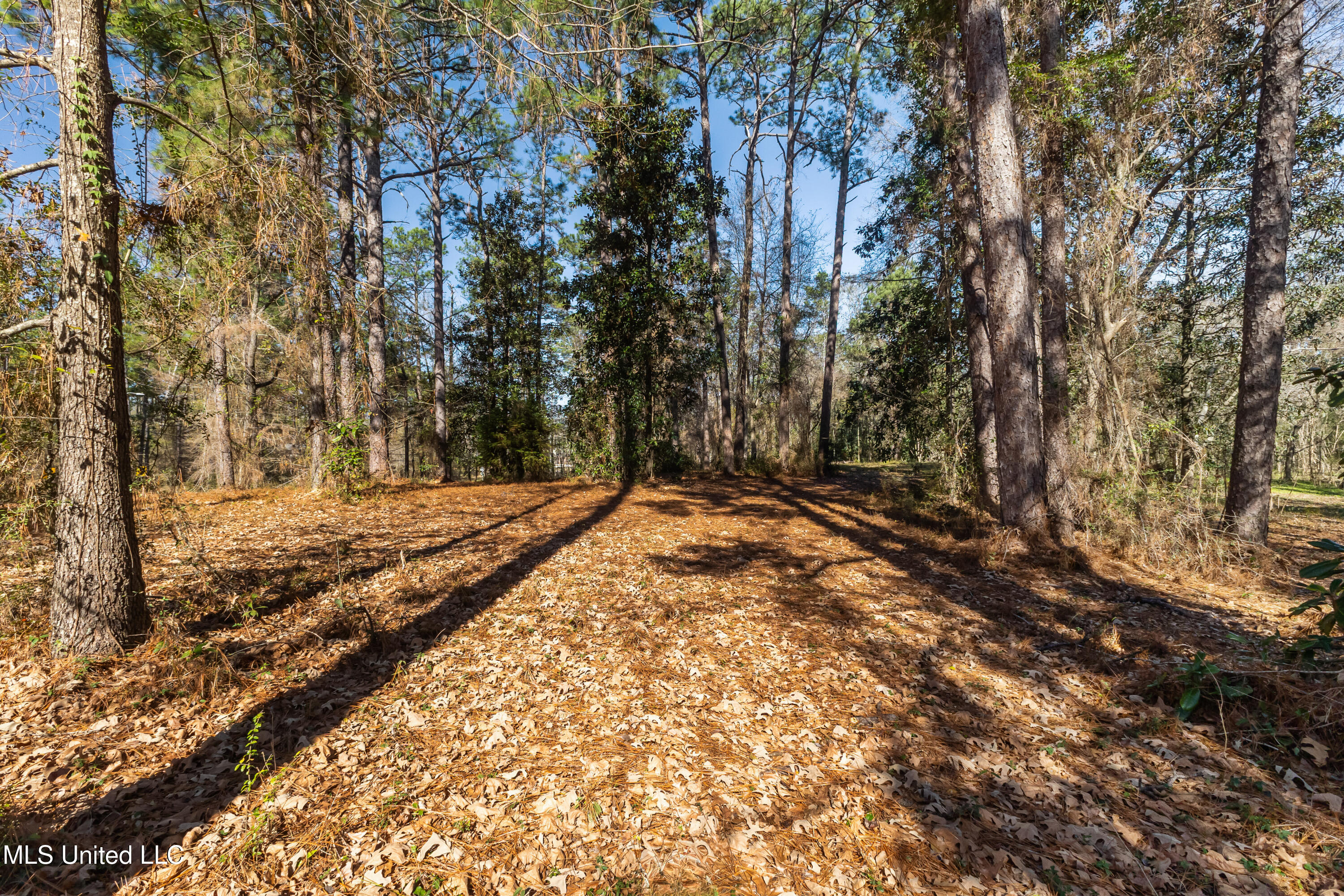 1906 S 28th Avenue Ext. Property Photo 2