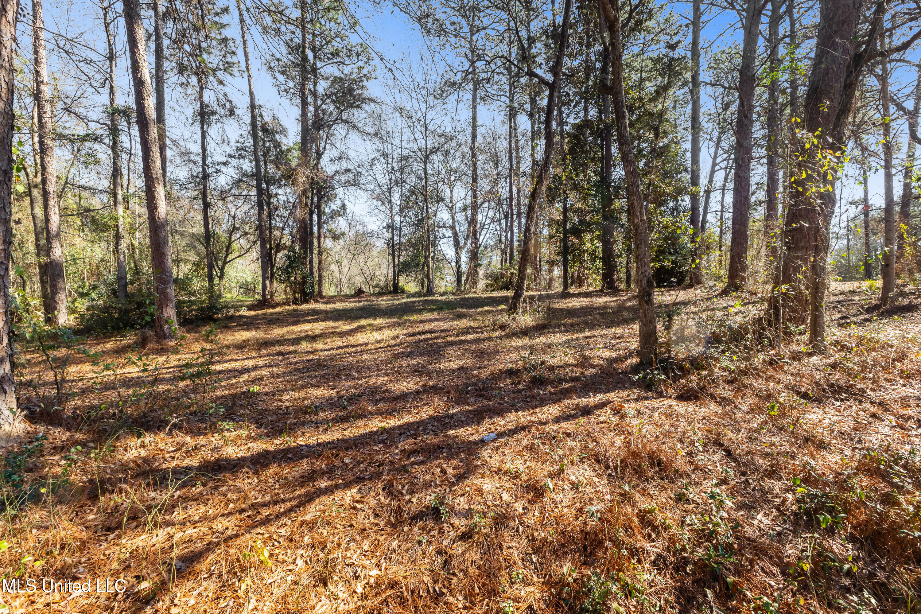 1906 S 28th Avenue Ext. Property Photo 6