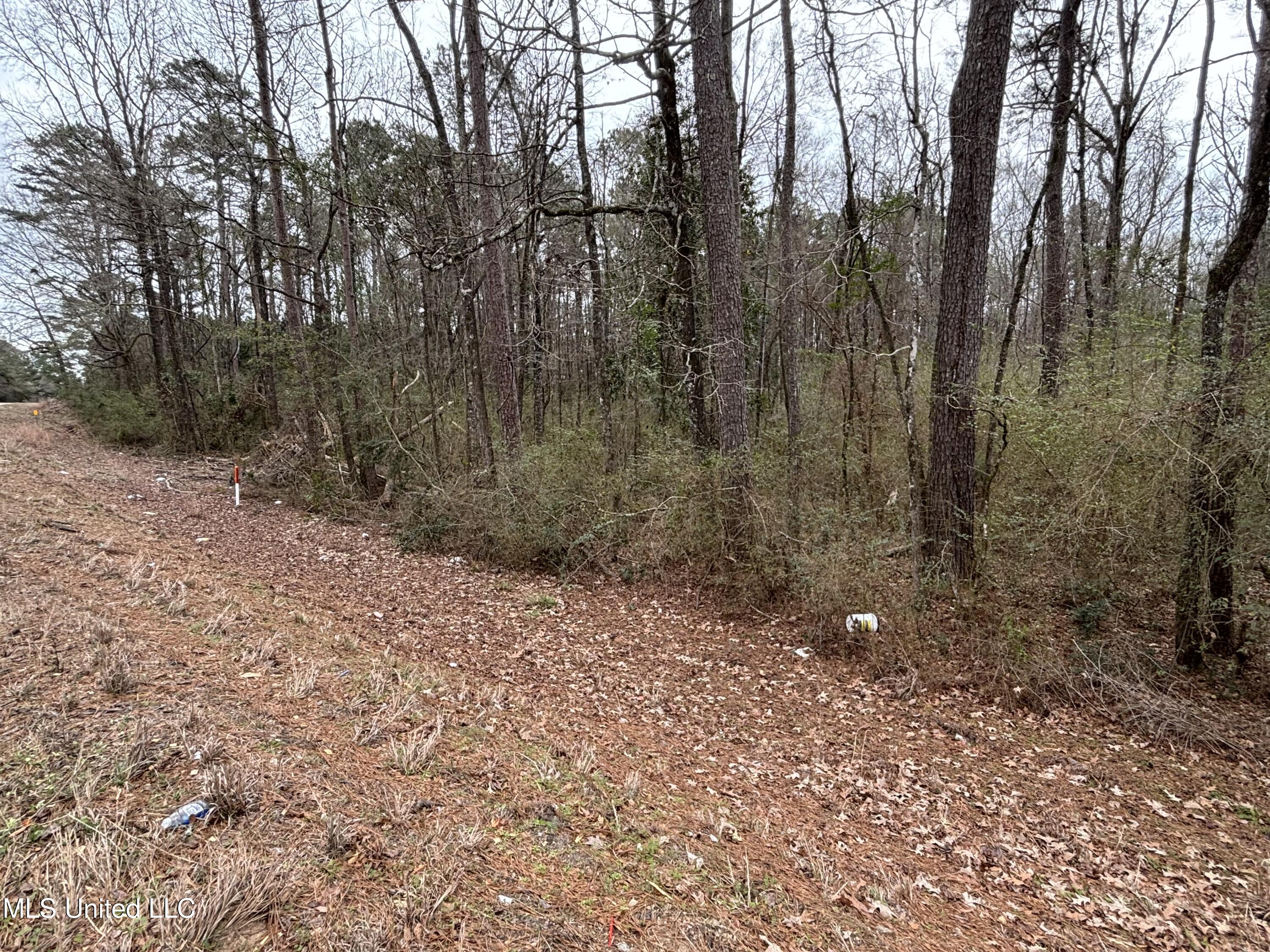 Ms-24 Property Photo 4