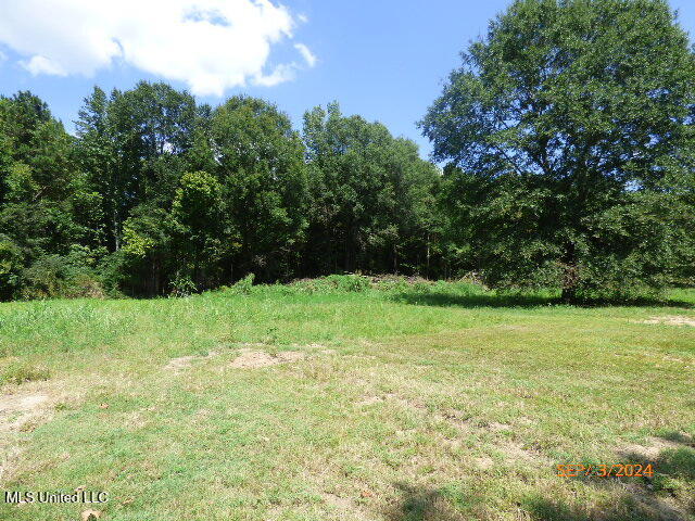 1049 Johnson Lane Property Photo 17