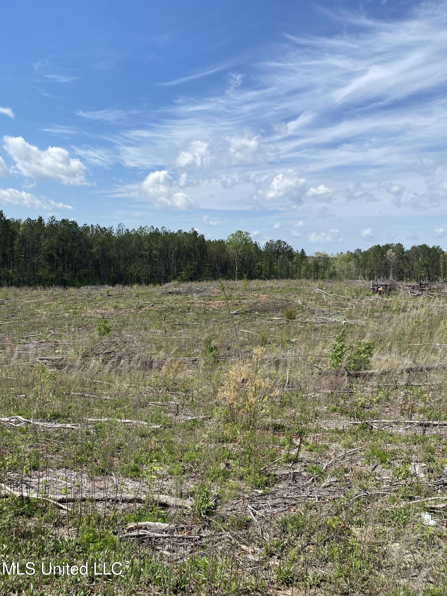 County Road 1115 Property Photo 2