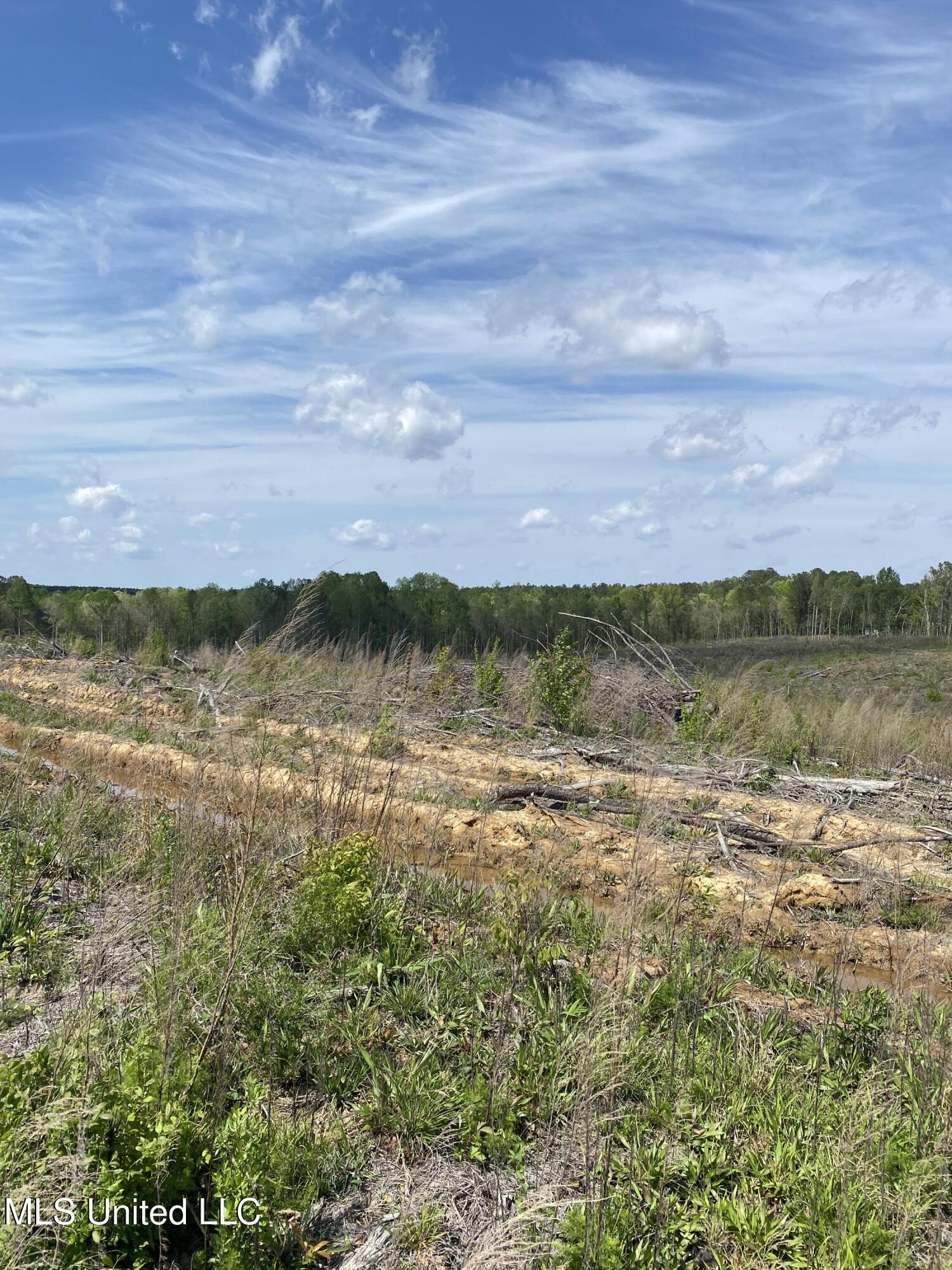 County Road 1115 Property Photo 3