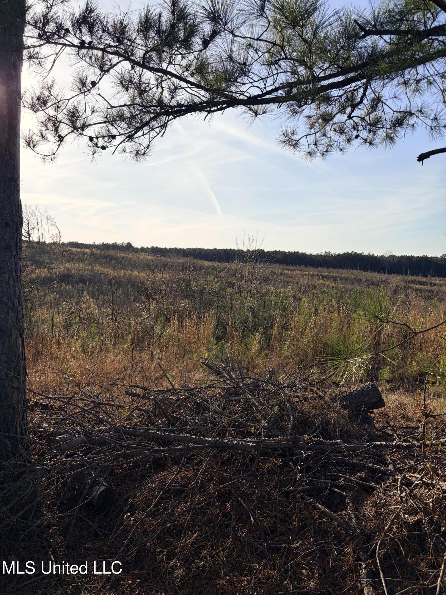 County Road 1115 Property Photo 8
