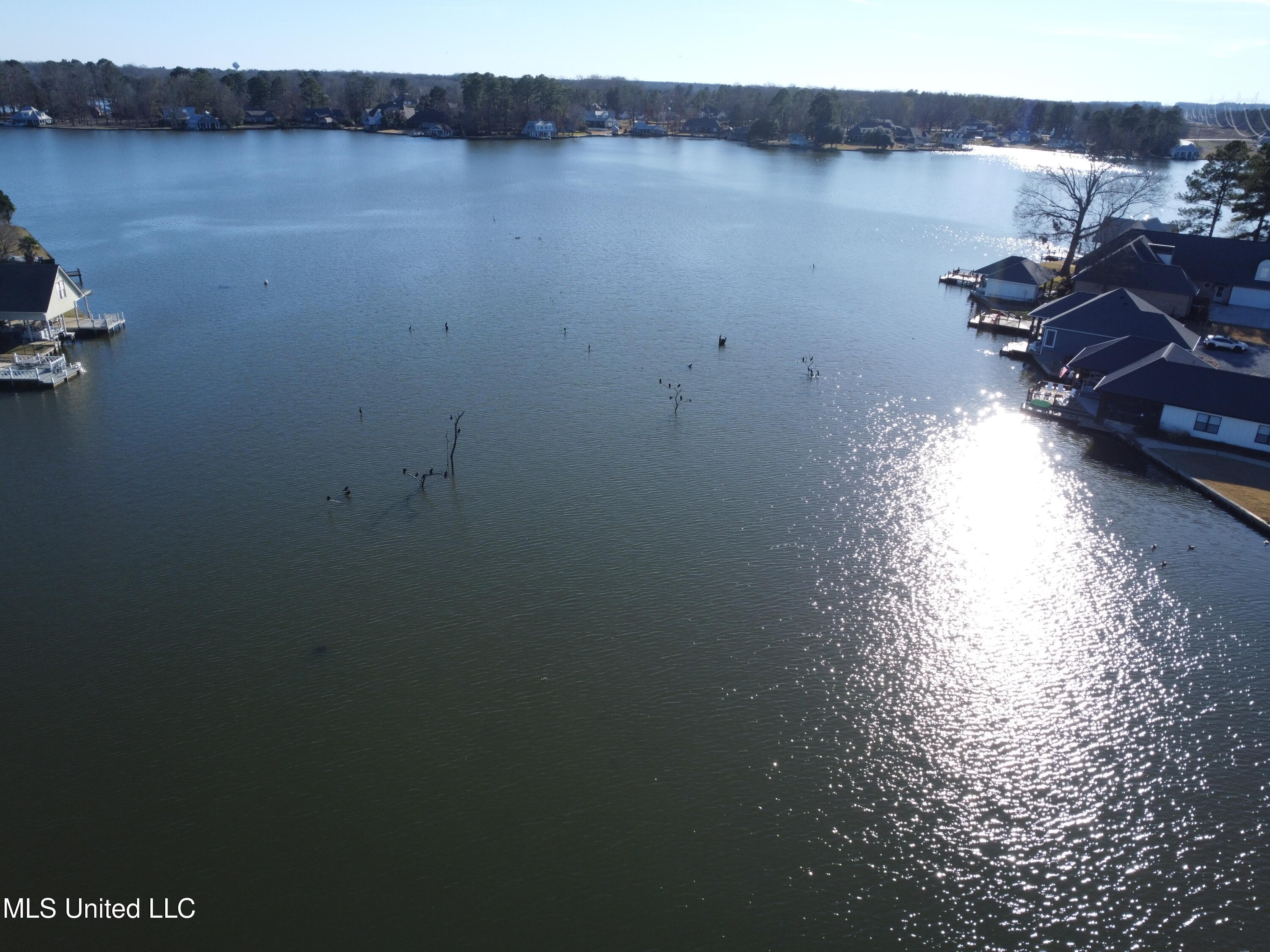 211 Northshore Place Property Photo 4