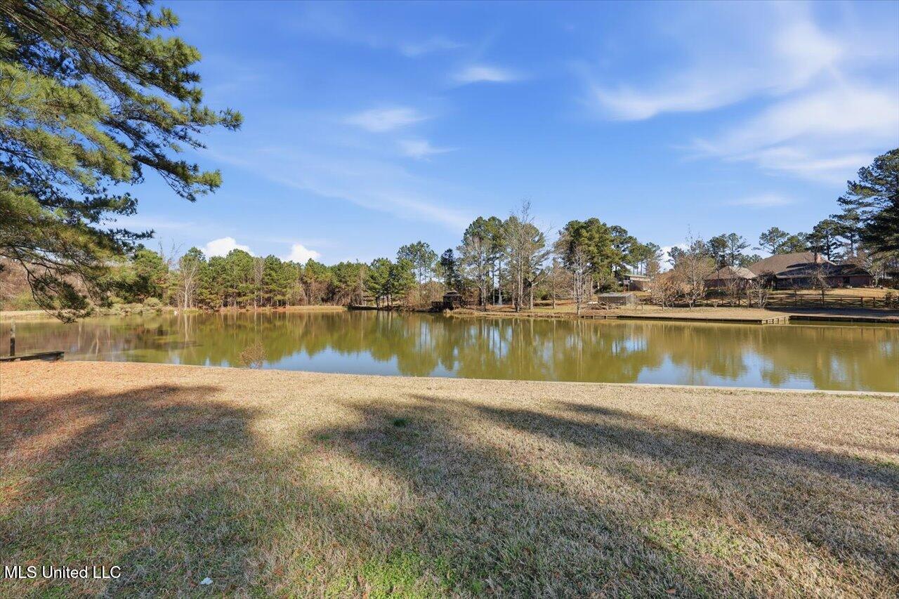 123 Lakeshire Cove Property Photo 74